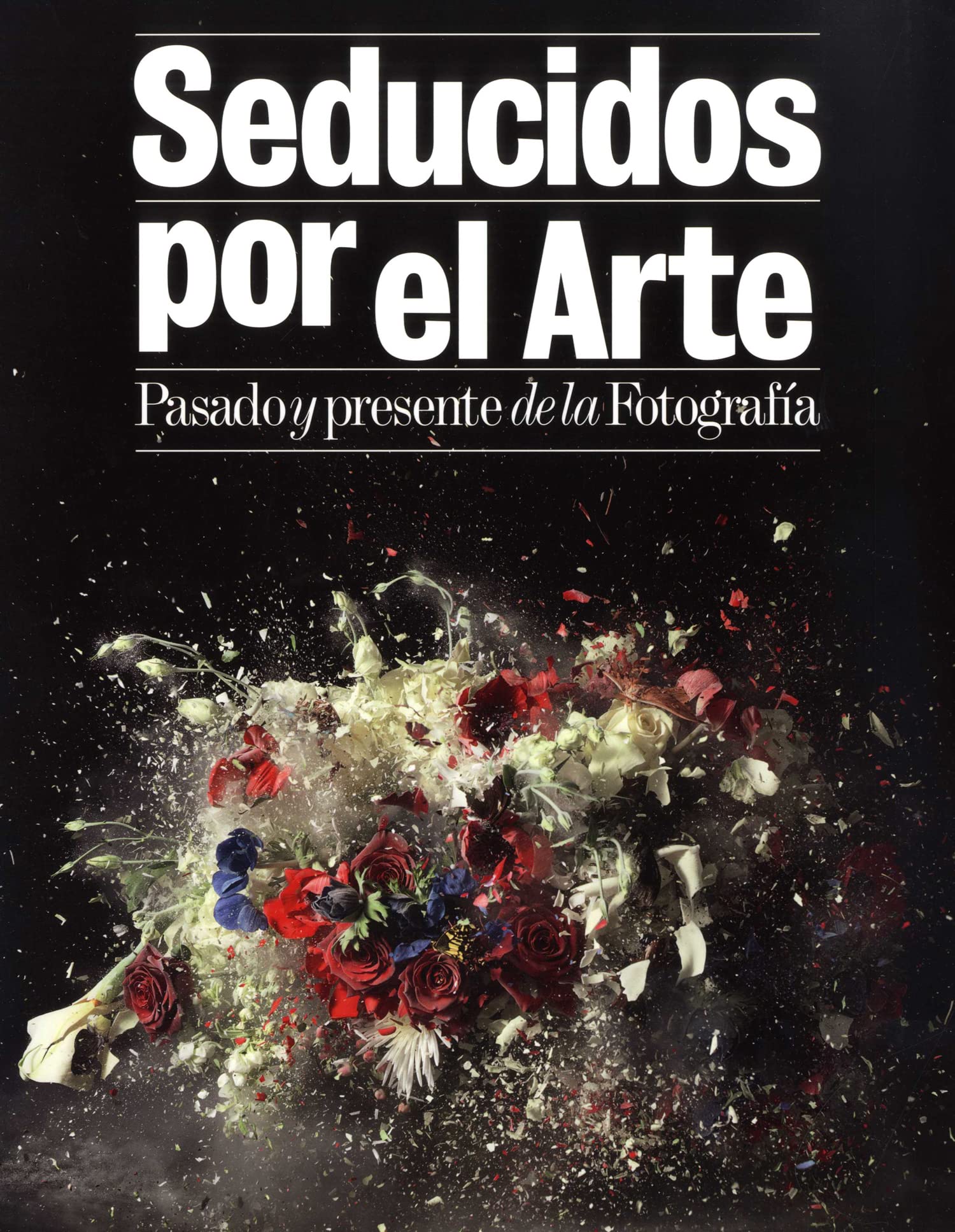Seducidos por el arte : pasado y presente de la fotografía Social Sciences