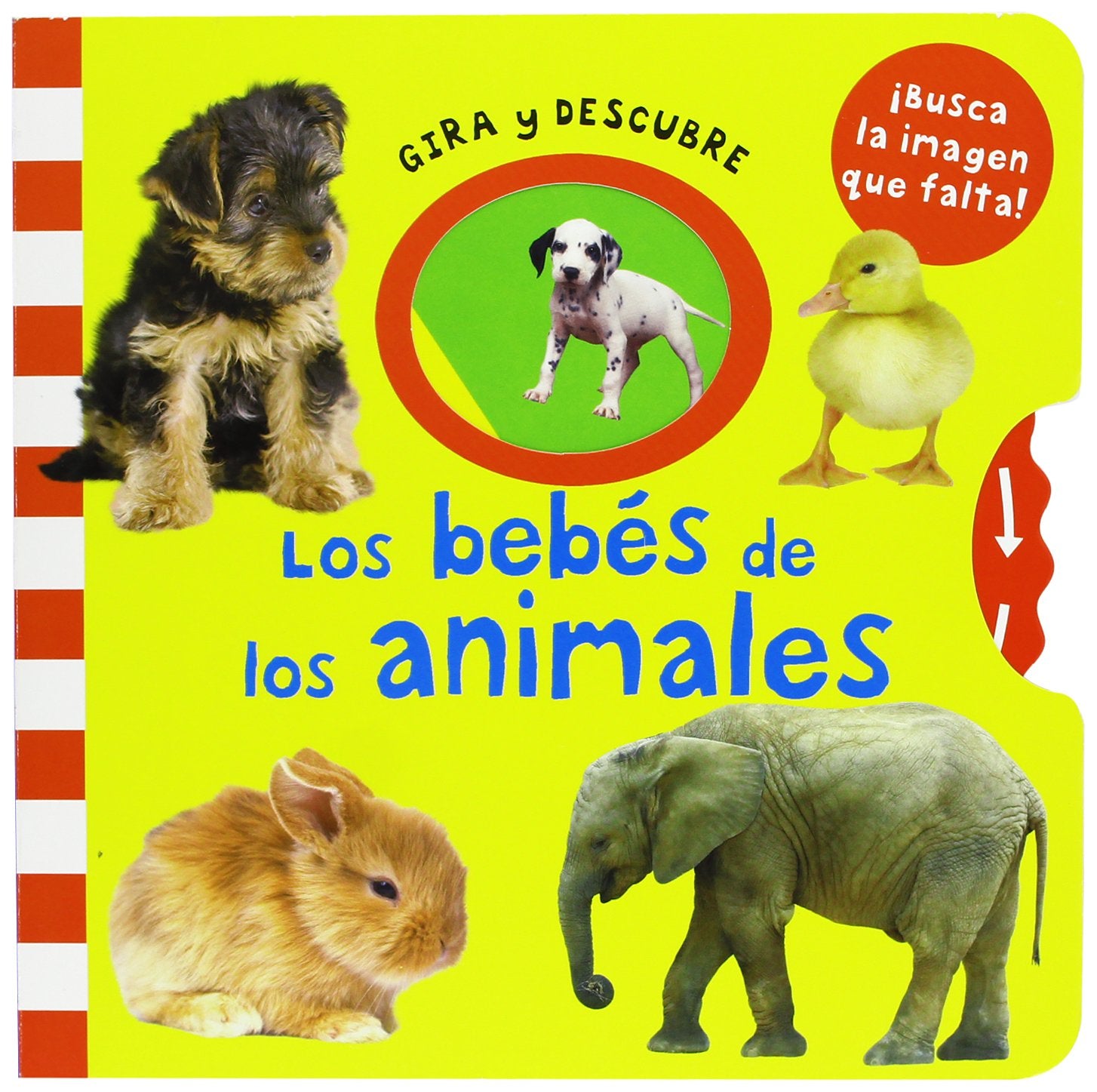 Los bebes de los animales / Animal Babies book