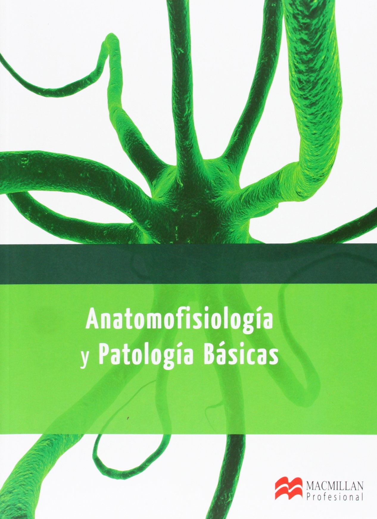 Anatomofisiología y patologías básicas (Farmacía y Parafarmacía) Study Guides