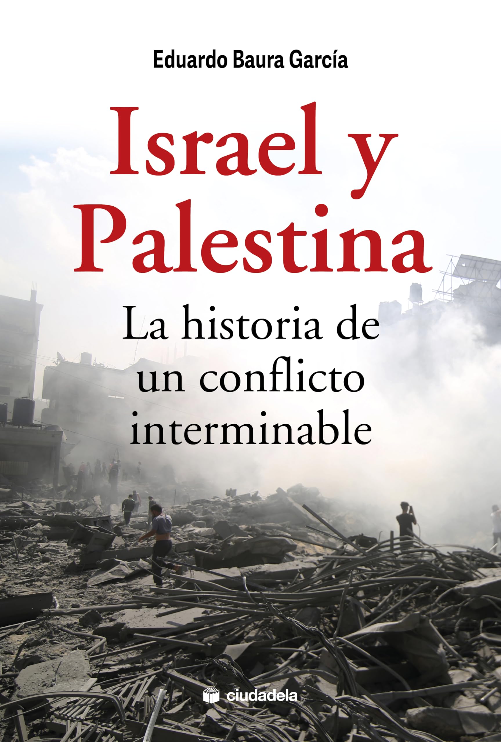 Israel y Palestina. La historia de un conflicto interminable book