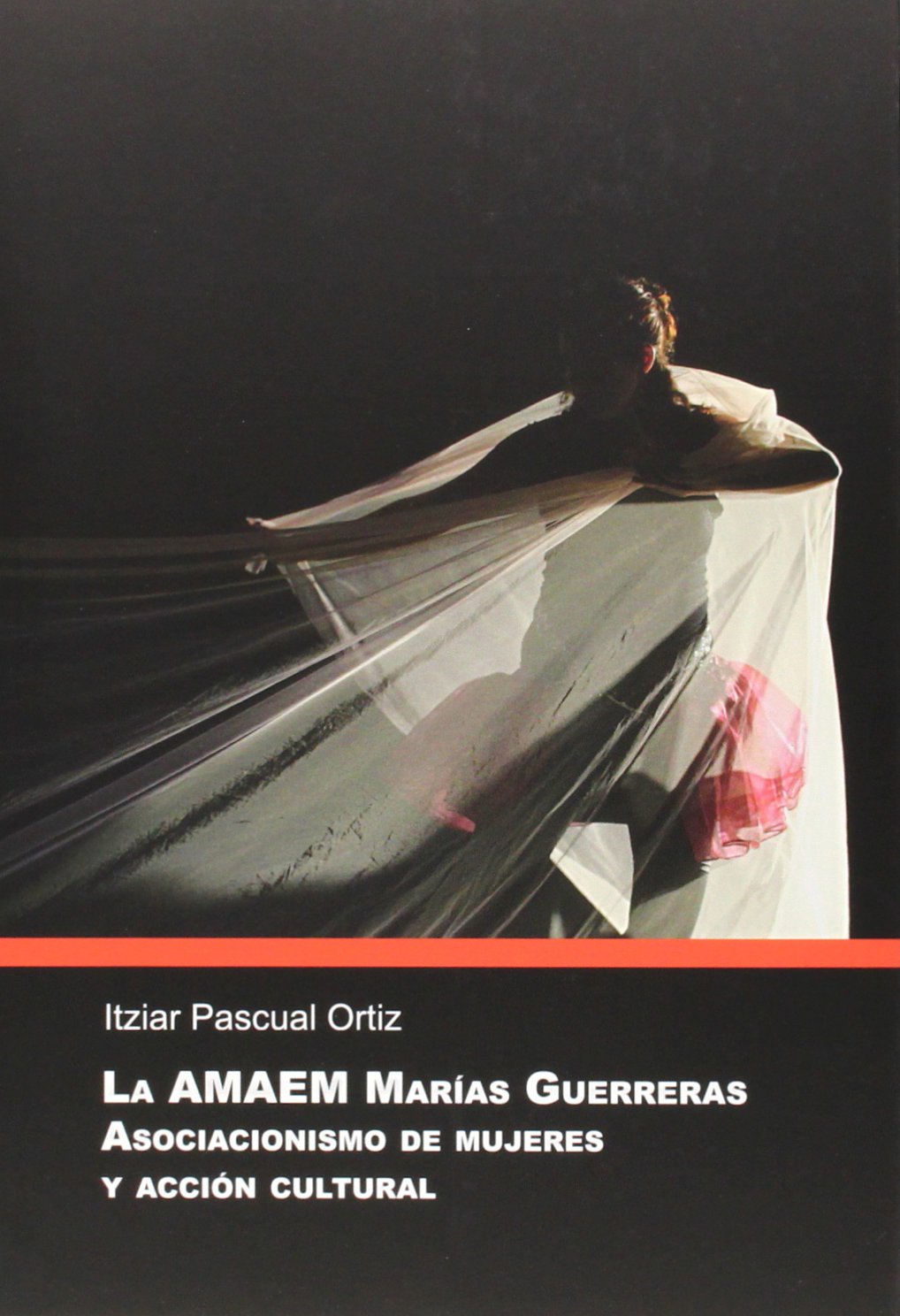 La AMAEM Marías Guerreras : asociacionismo de mujeres y acción cultural book