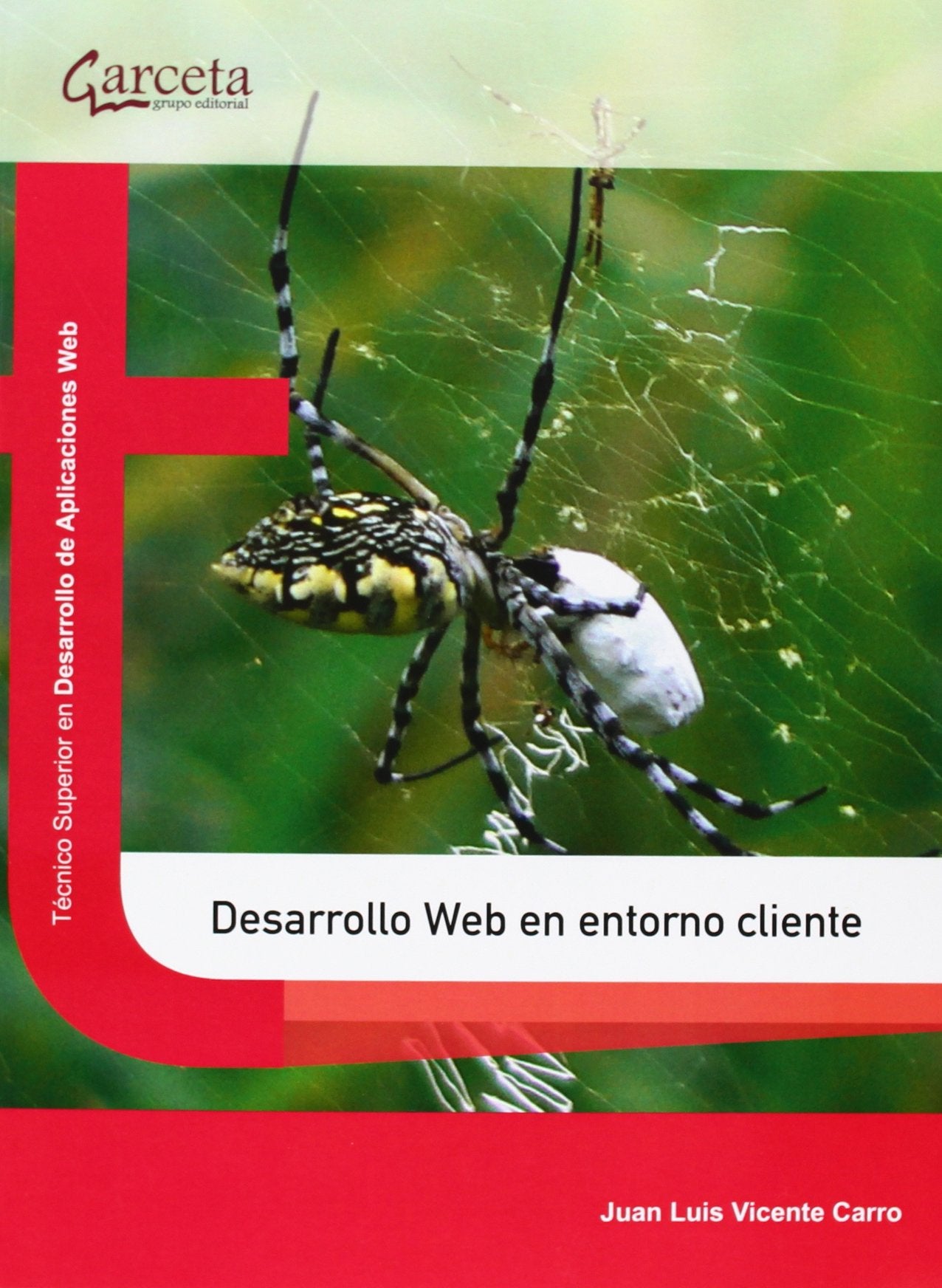 Desarrollo web en entorno cliente book