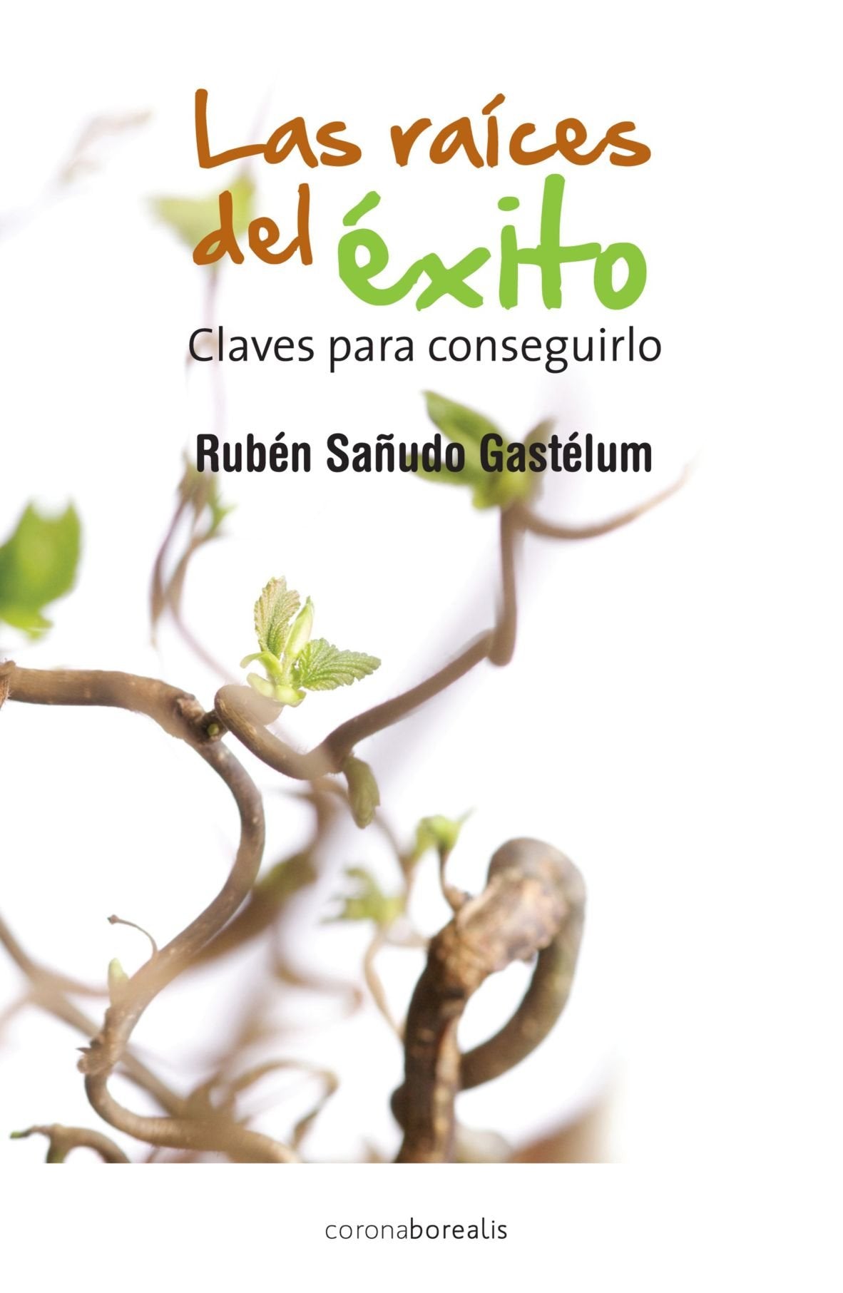 Las Raices Del Éxito book