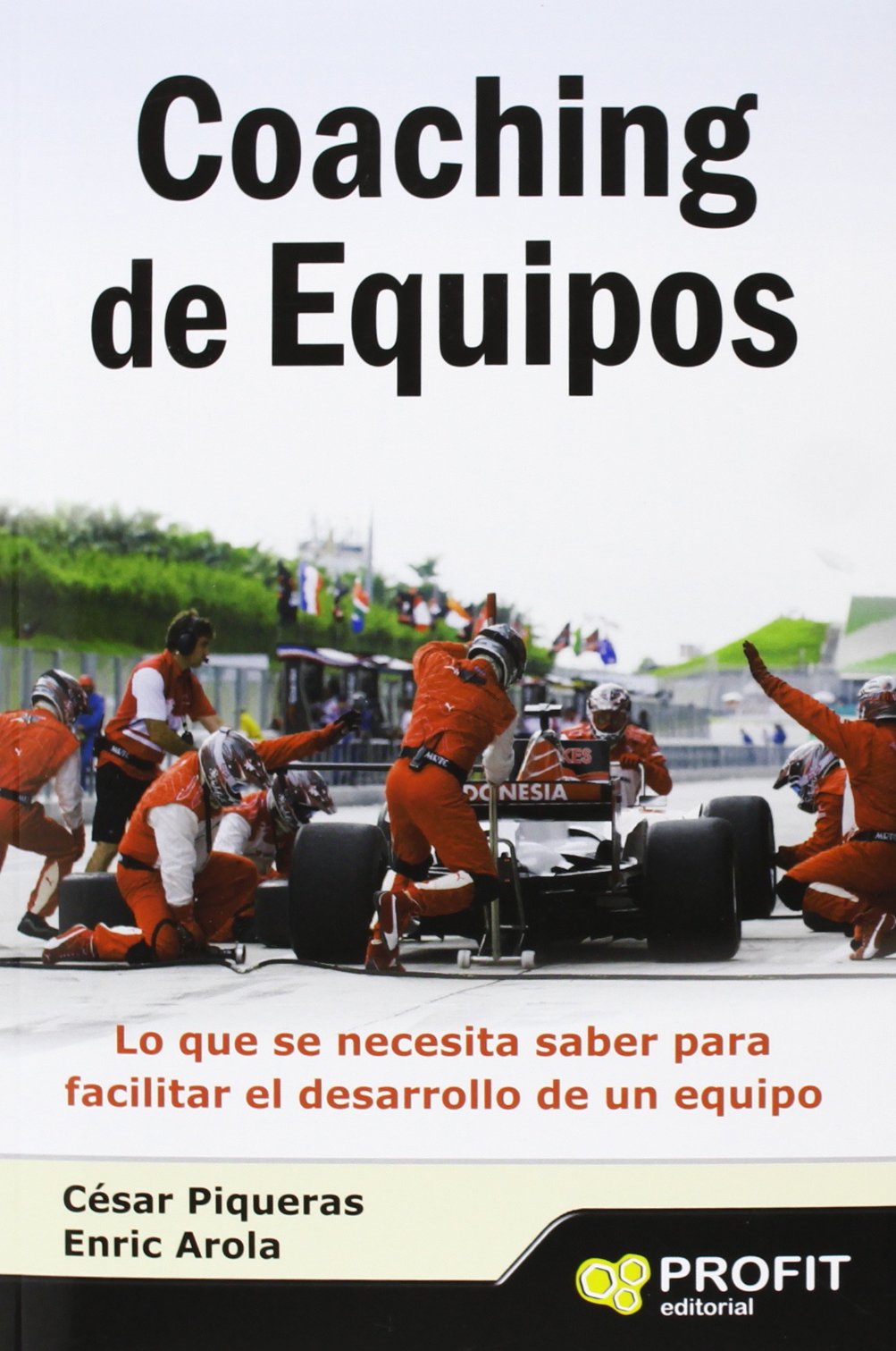 Coaching de equipos : lo que se necesita saber para facilitar el desarrollo de un equipo Business, Finance & Career