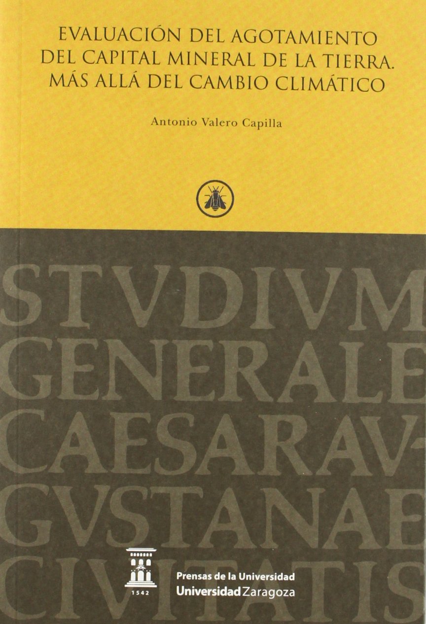 EVALUACION DEL AGOTAMIENTO DEL CAPITAL MINERAL DE LA TIERRA. book