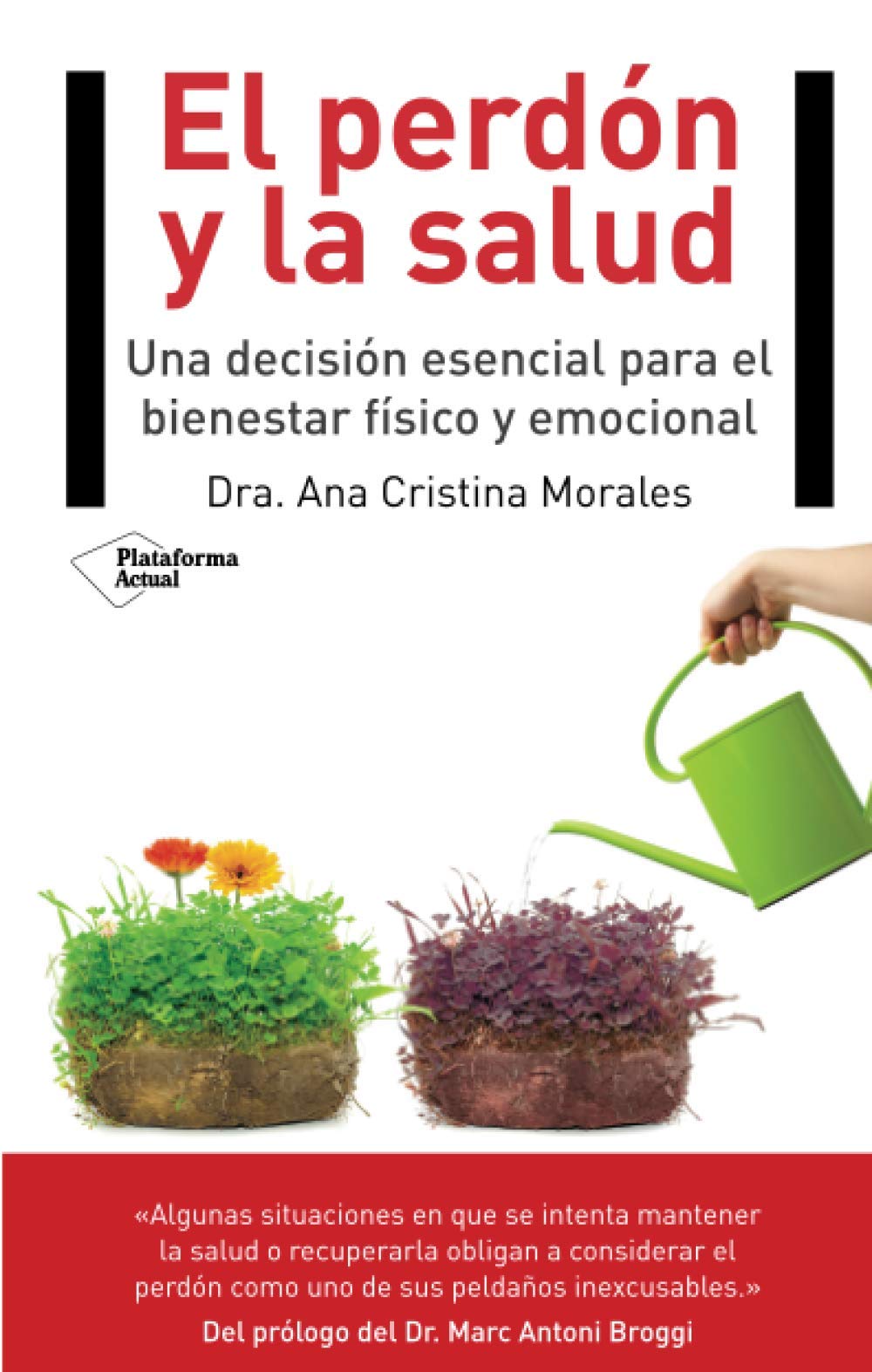 El perdón y la salud : una decisión esencial para el binestar físico y emocional Medicine
