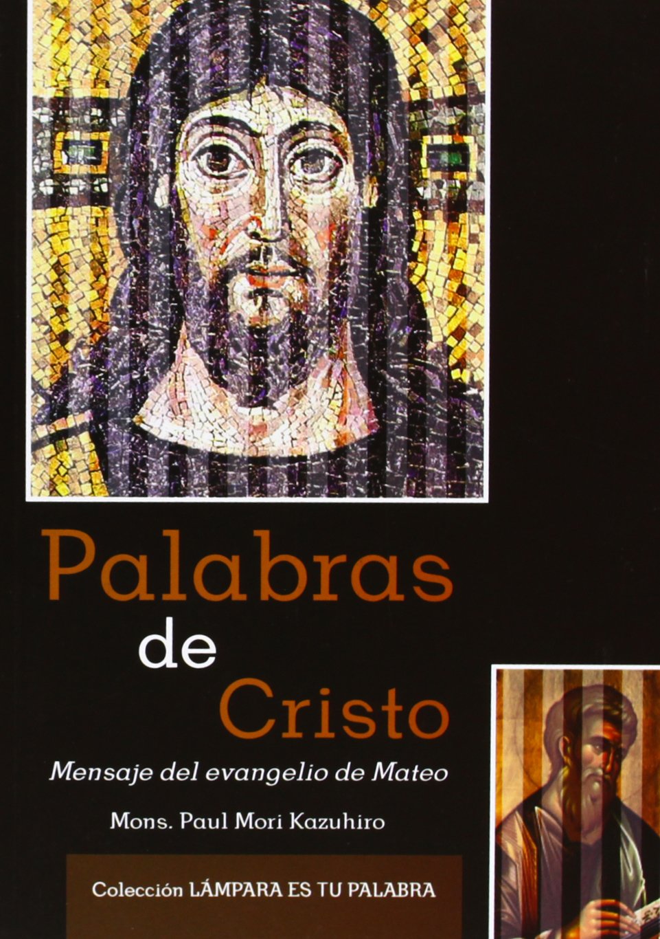 Palabras de Cristo : el mensaje del Evangelio según San Mateo book