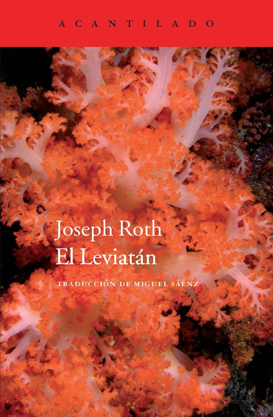 El Leviatán (Cuadernos del Acantilado, Band 60) Contemporary literature