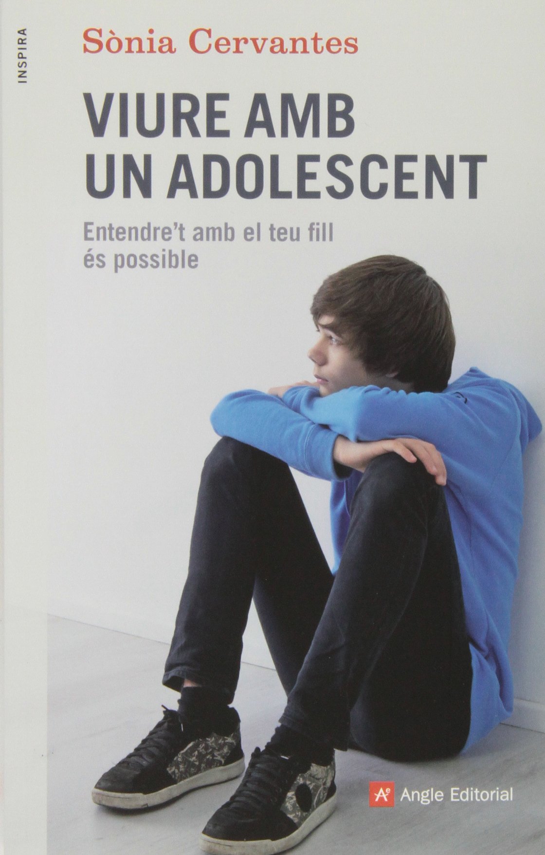 Cervantes Pascual, S: Viure amb un adolescent : Entendre't a Learning & Reference