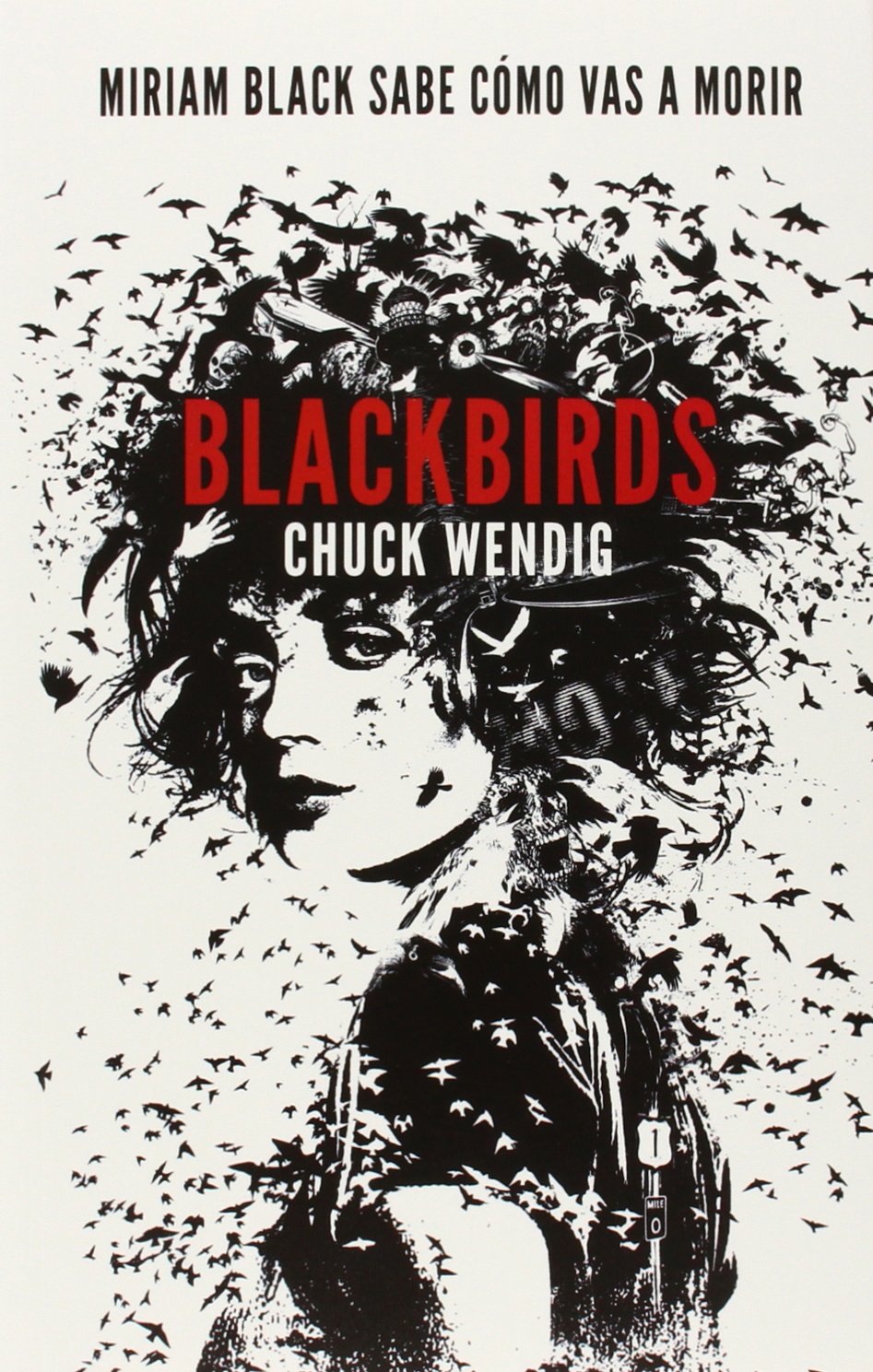 Blackbirds (Ficción, Band 10) Contemporary literature