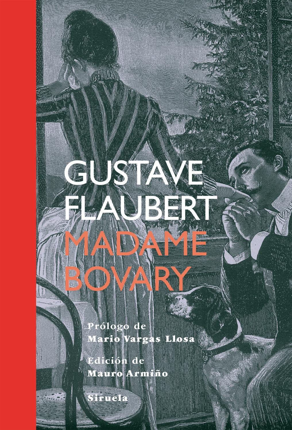 Madame Bovary (Tiempo de Clásicos, Band 15) Social Sciences