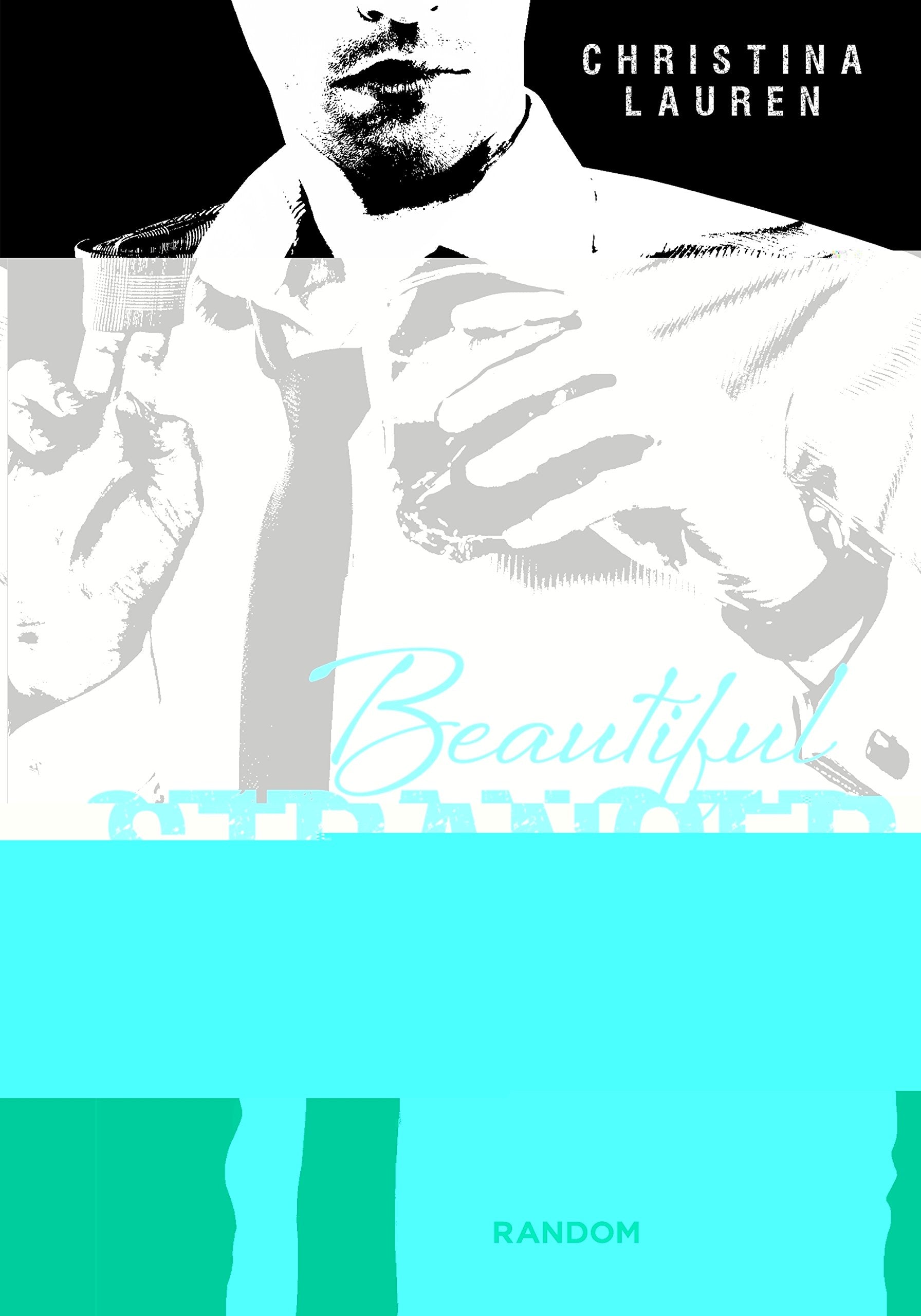 Beautiful Basard, 2. Un desconocido encantador Contemporary literature