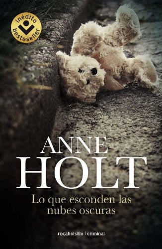 Lo que esconden las nubes oscuras Contemporary literature