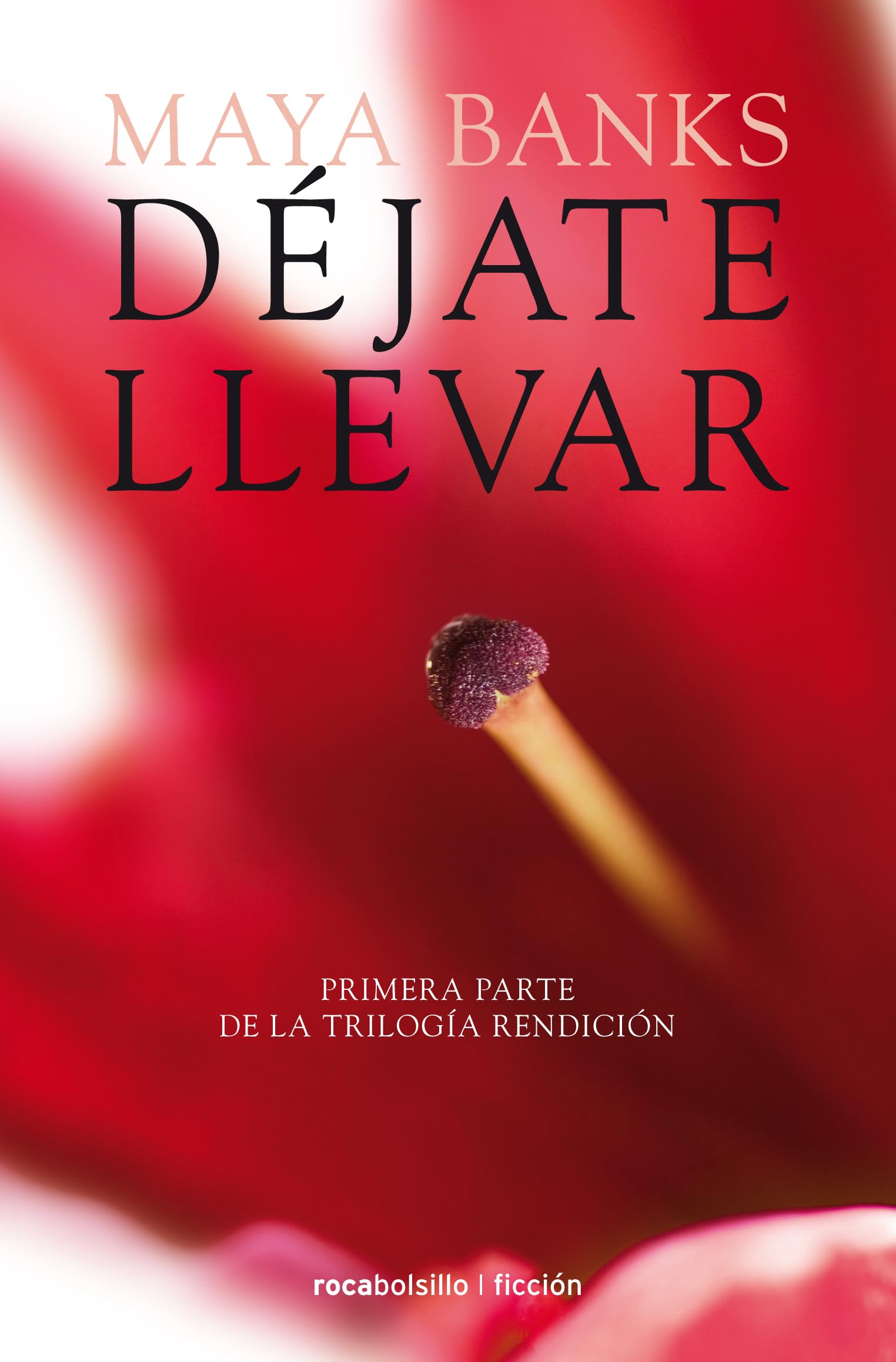 Dejate Llevar (Rendicion Trilogia, 1) Contemporary literature