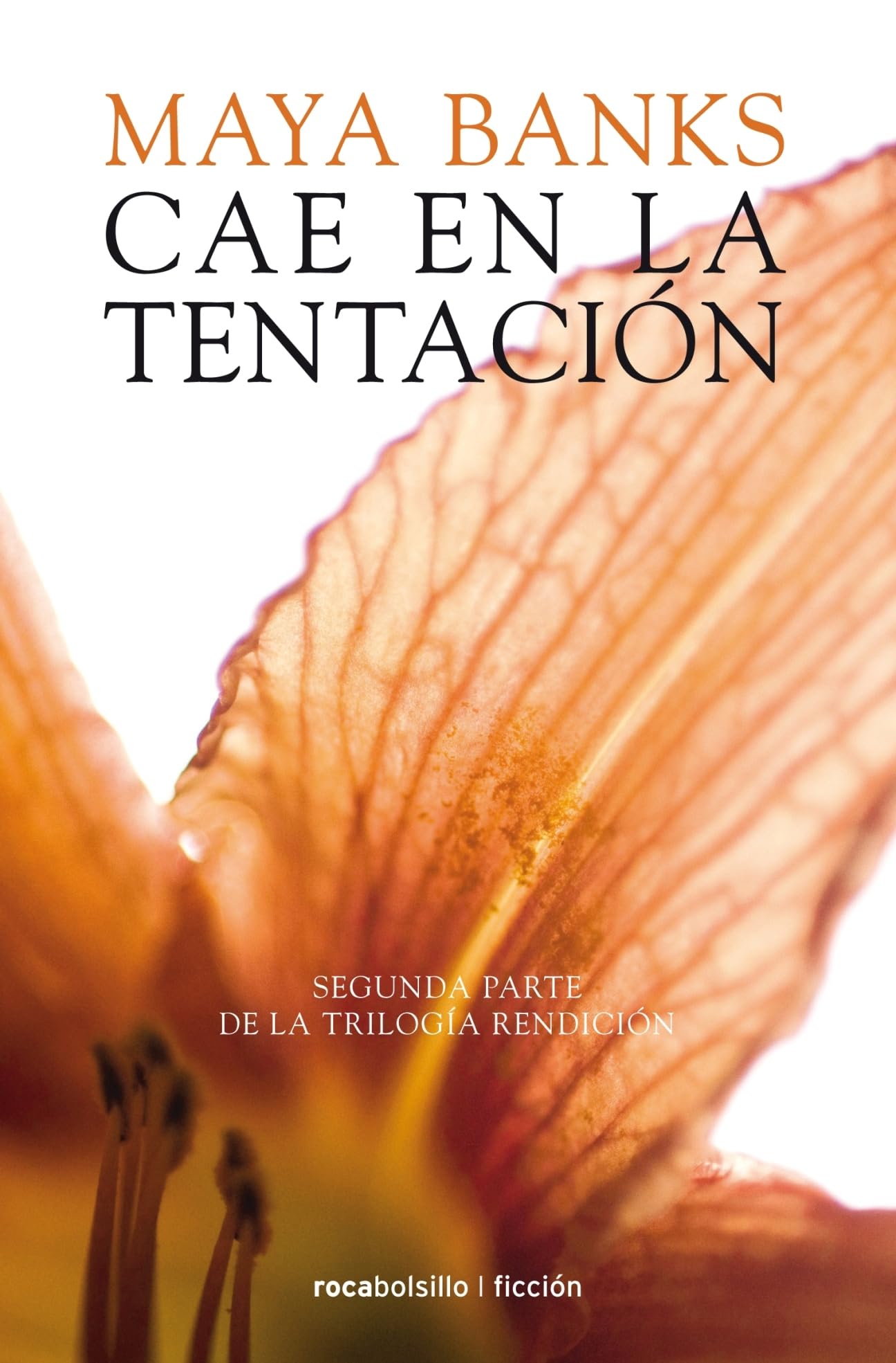 Cae en la tentación (Rendicion Trilogia, 2) Contemporary literature
