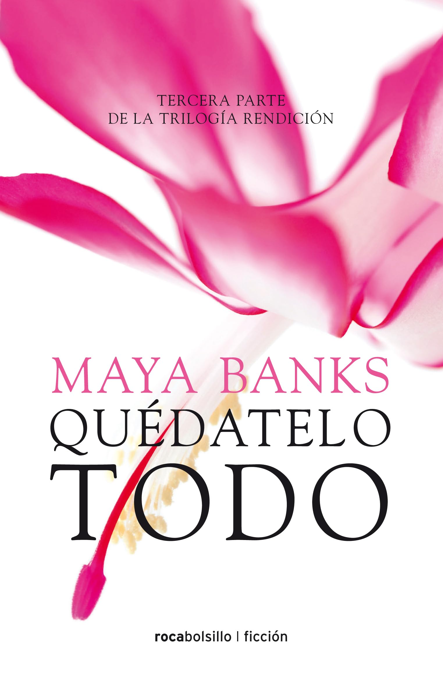 Quédatelo todo (Rendicion Trilogia, 3) Contemporary literature