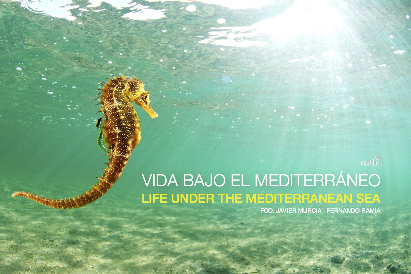 Vida bajo el Mediterráneo = Life under Mediterranean sea Learning & Reference