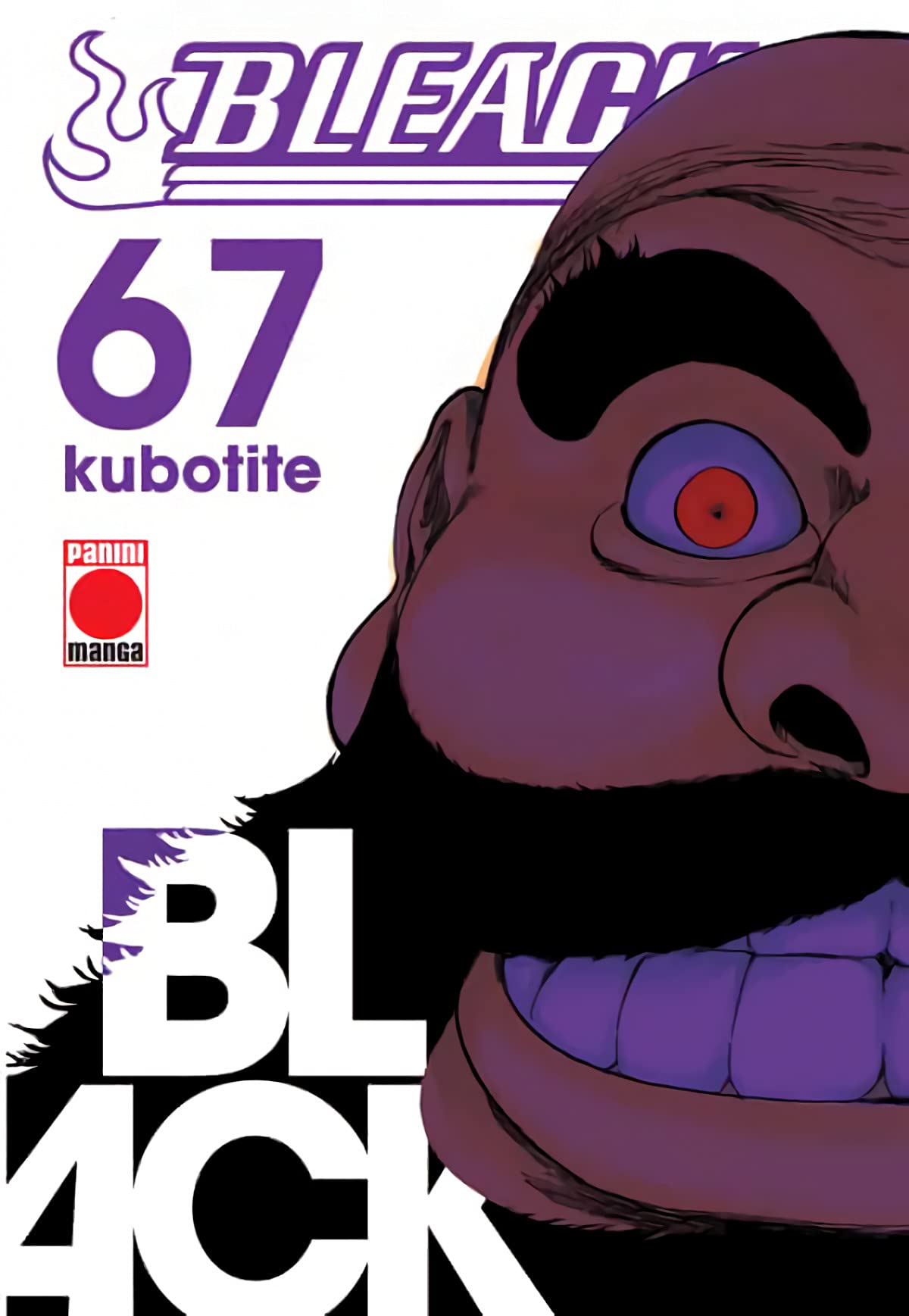 Bleach 67 Manga