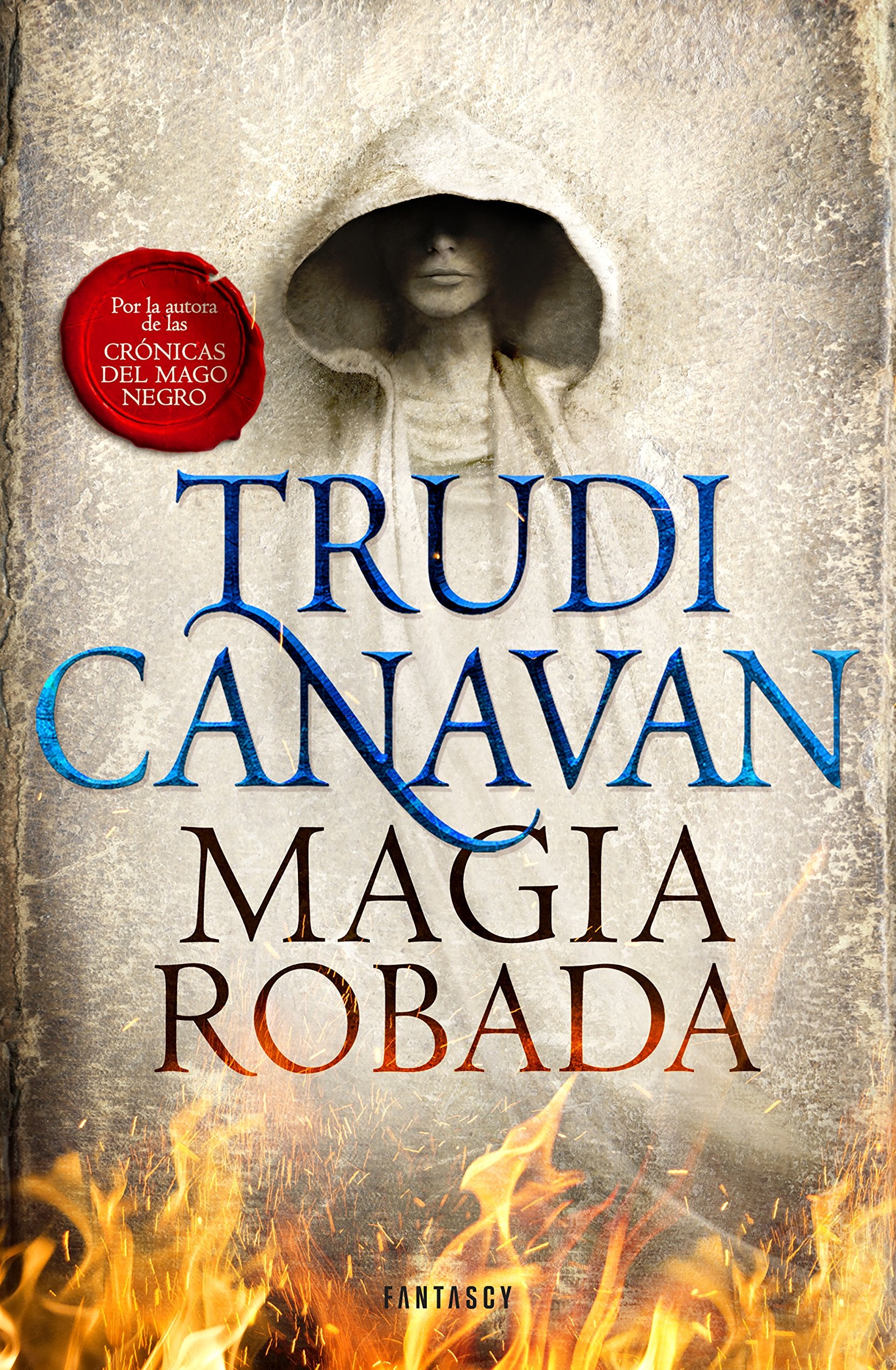 Magia robada (La Ley del Milenio 1) book