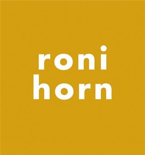Roni Horn: Everything Was Sleeping as If the Universe Were a Mistake Film, Art & Culture