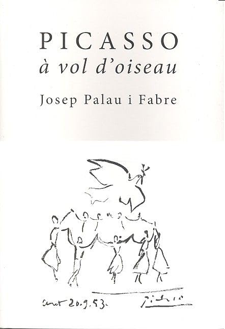 PICASSO A VOL D'OISEAU book