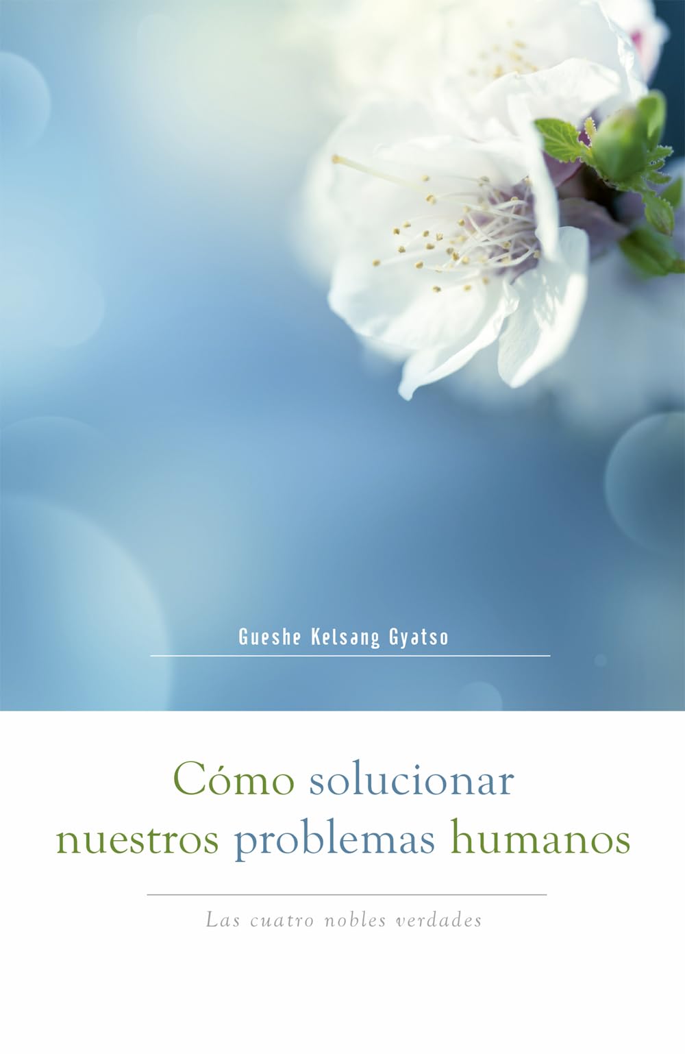 Cómo Solucionar Nuestros Problemas Humanos (How to Solve Our Human Problems): Las Cuatro Nobles Verdades Lifestyle