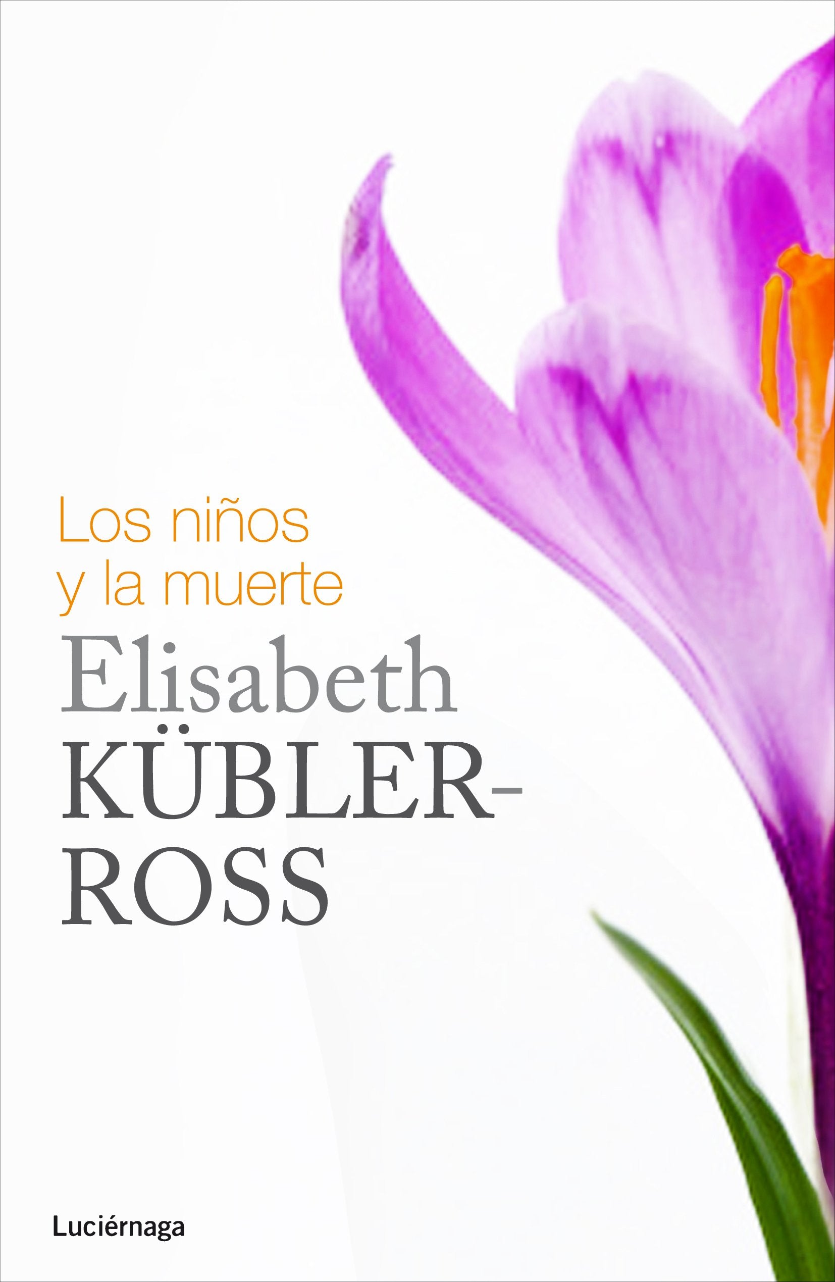 Los niños y la muerte (Biblioteca Elisabeth Kübler-Ross) Death & Mourning