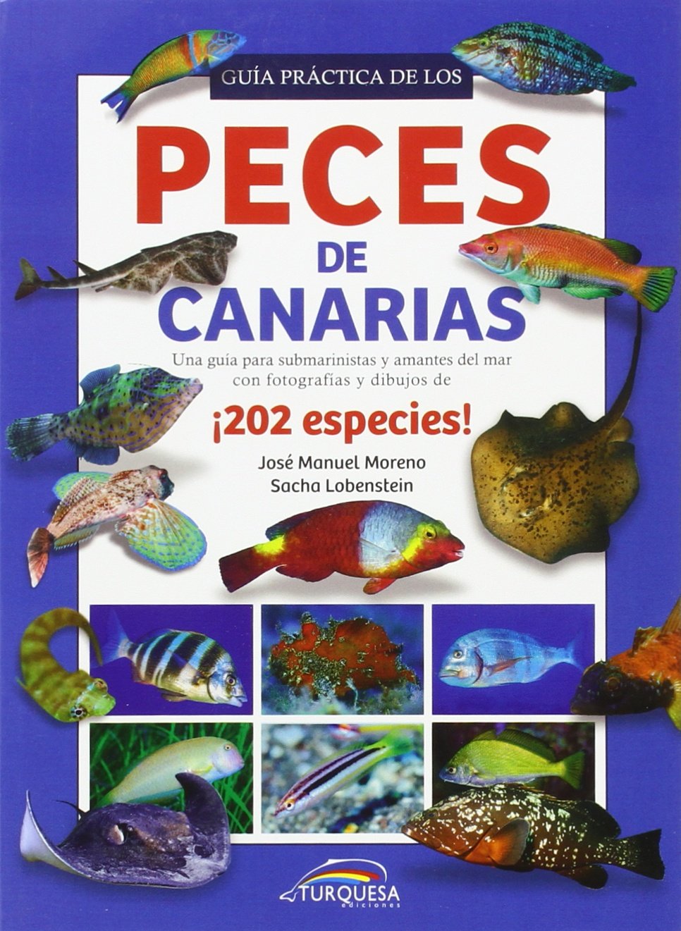 Guía Práctica de los Peces de Canarias book