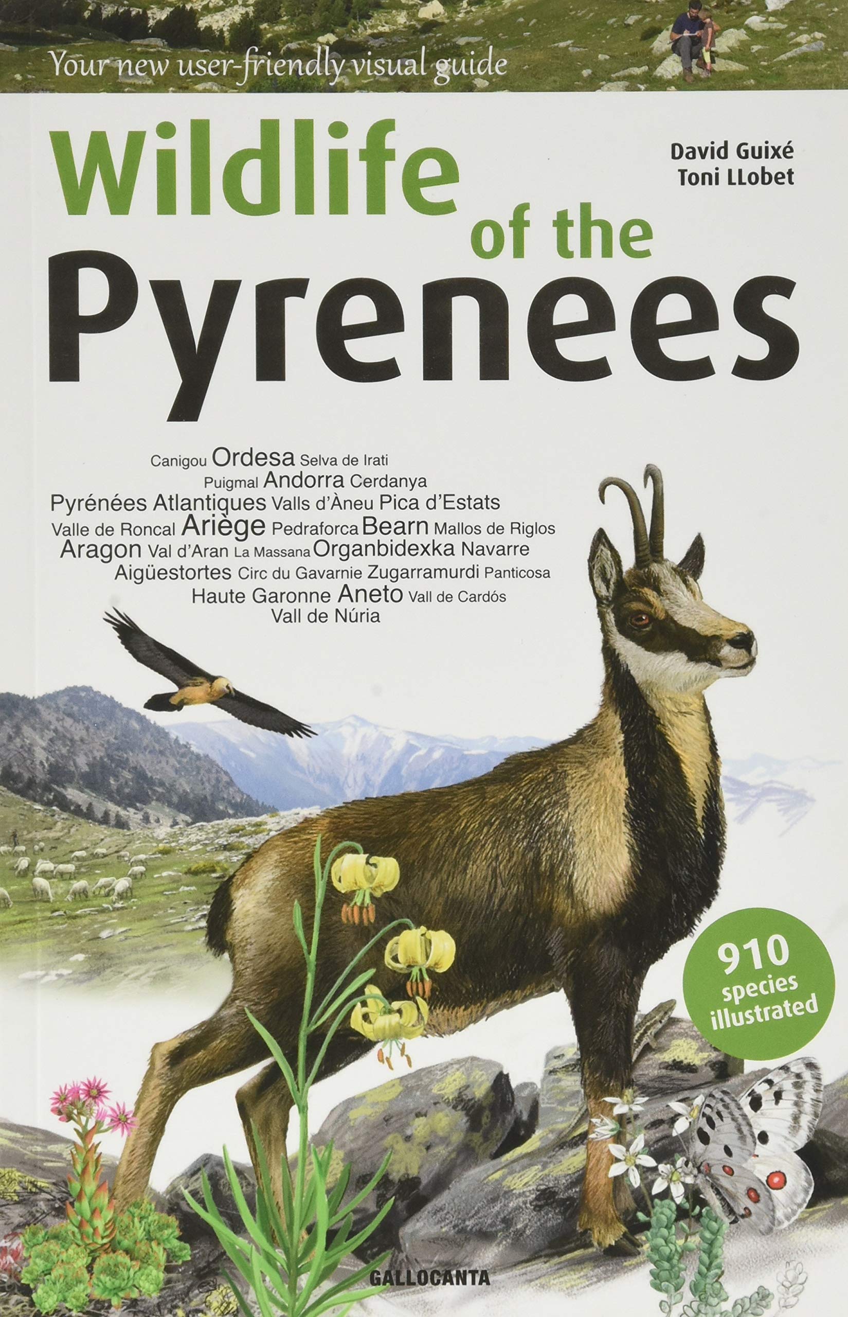 Wildlife of the Pyrenees Leisure, Home & Garden