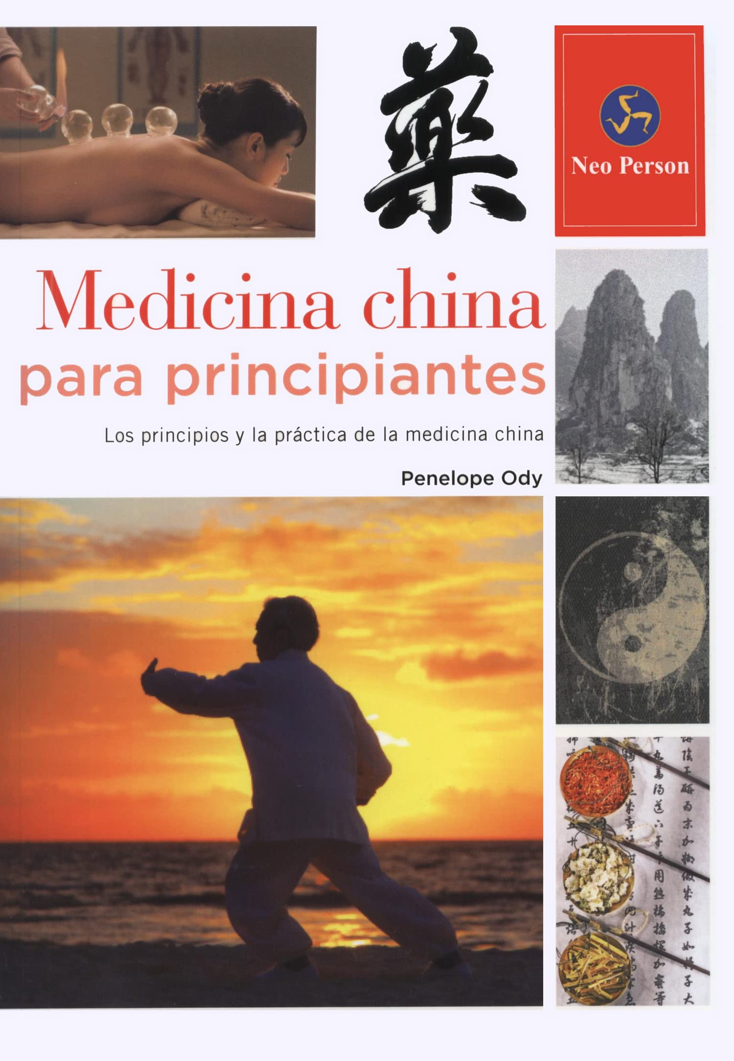 Medicina china para principiantes : los principios y la práctica de la medicina china Medicine