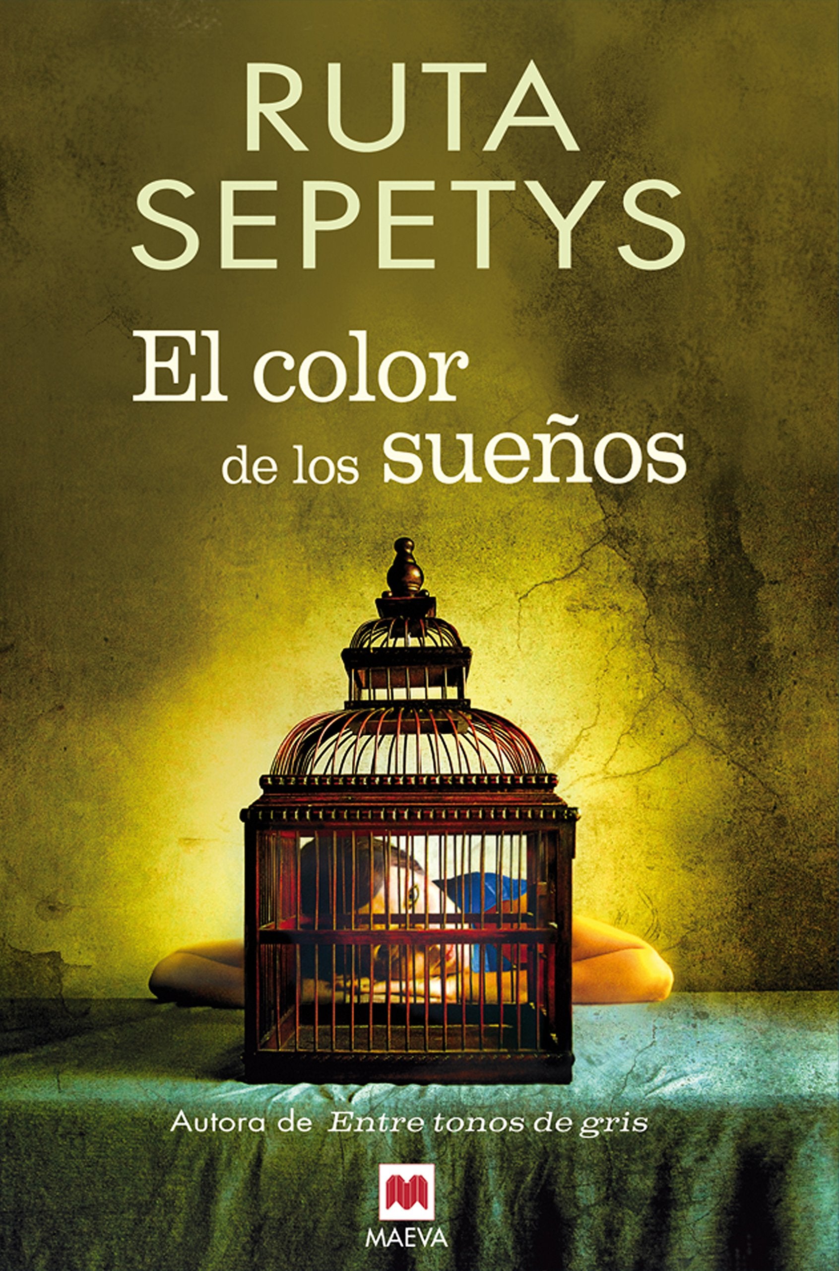 El Color de los Suenos = The Color of Dreams Contemporary literature