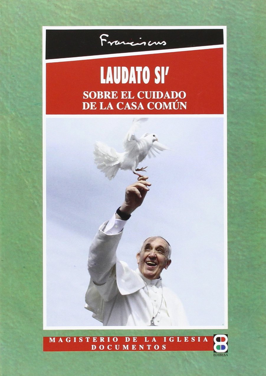 Laudato Si': Encíclica sobre el cuidado de la casa común Books