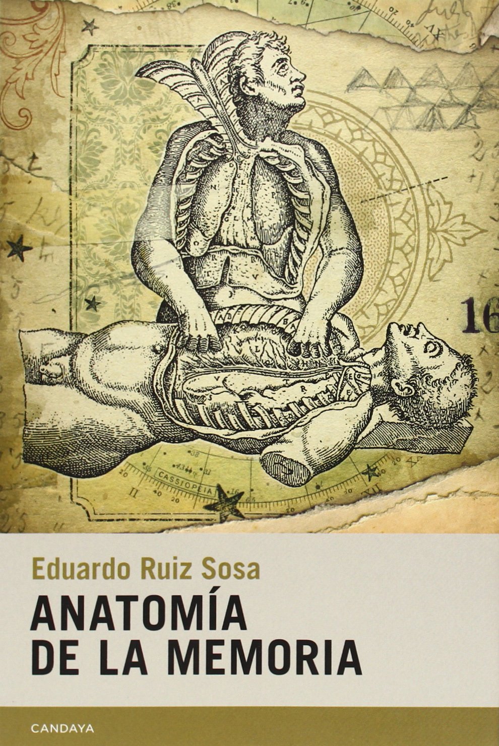 Anatomía de la memoria Contemporary literature
