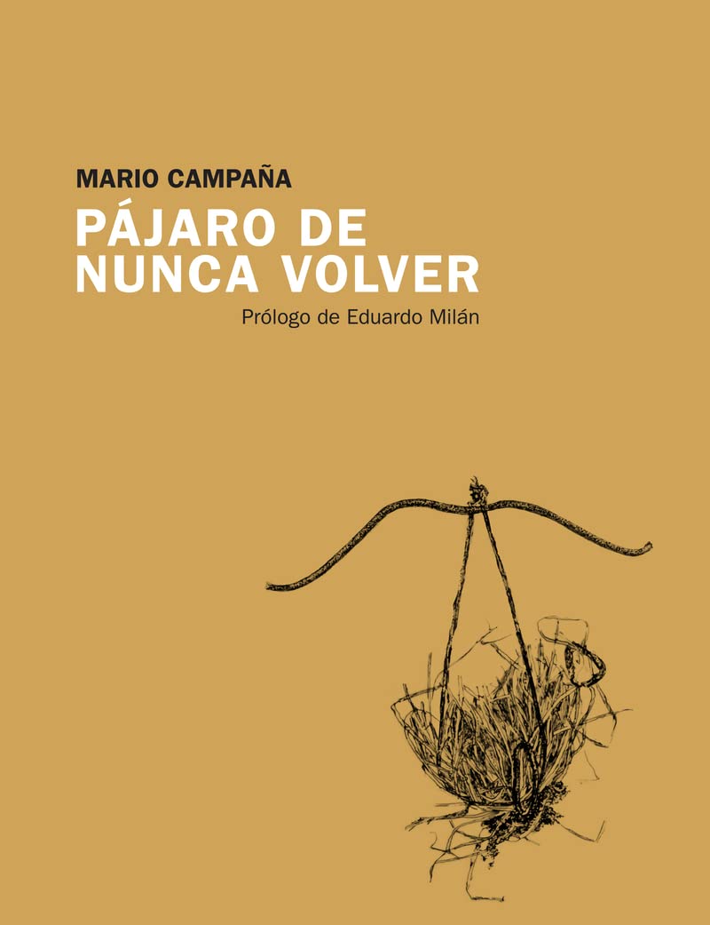 Pájaro de nunca volver (Candaya Poesía, Band 17) Non-fiction