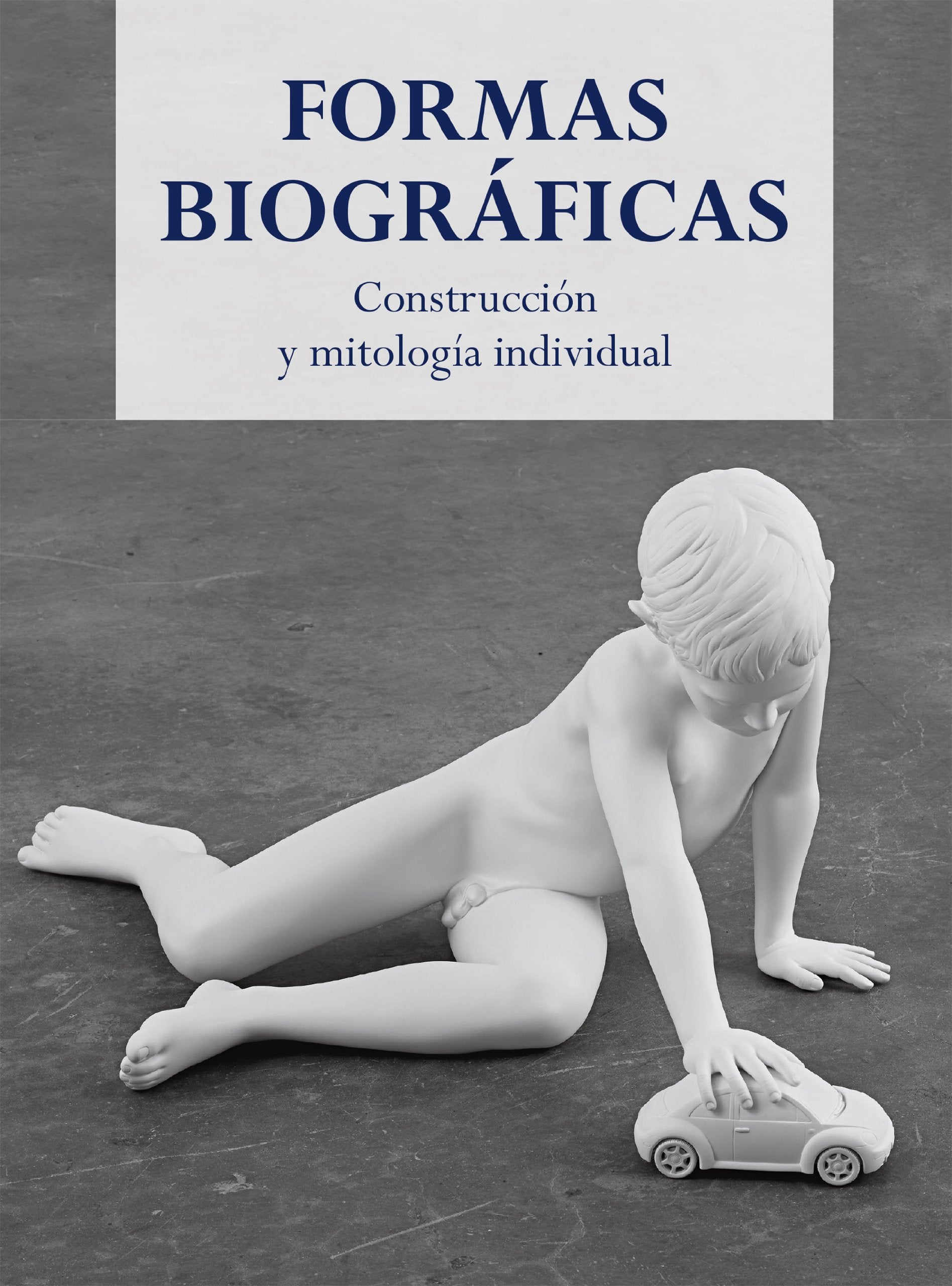 Formas biográficas: Construcción y mitología individual book