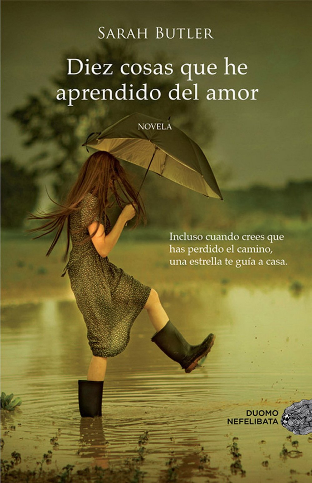 Diez cosas que he aprendido del amor (Nefelibata) Contemporary literature
