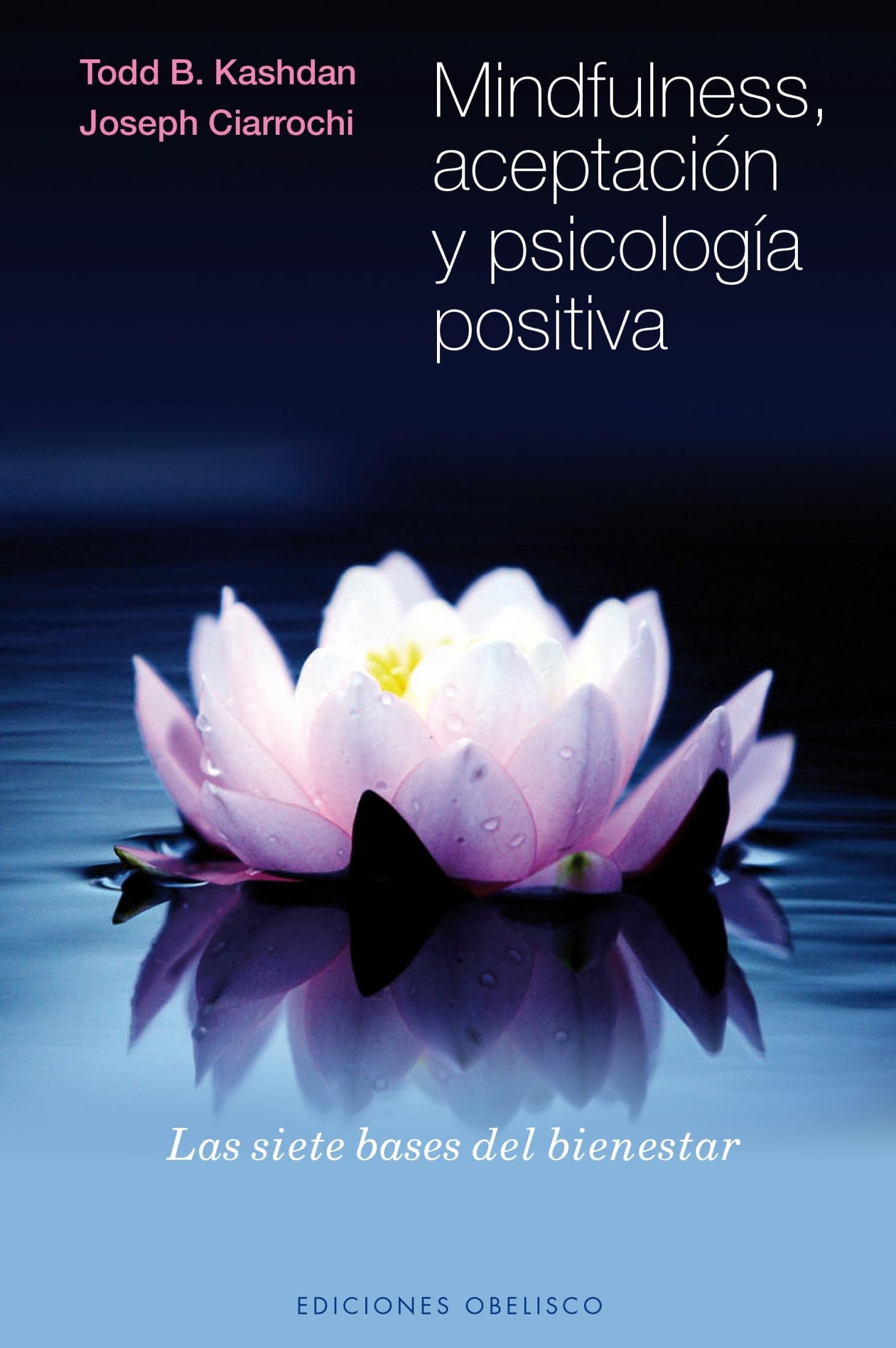 Mindfulness, aceptacion y psicologia positiva / Mindfulness, Acceptance, and Positive Psychology book