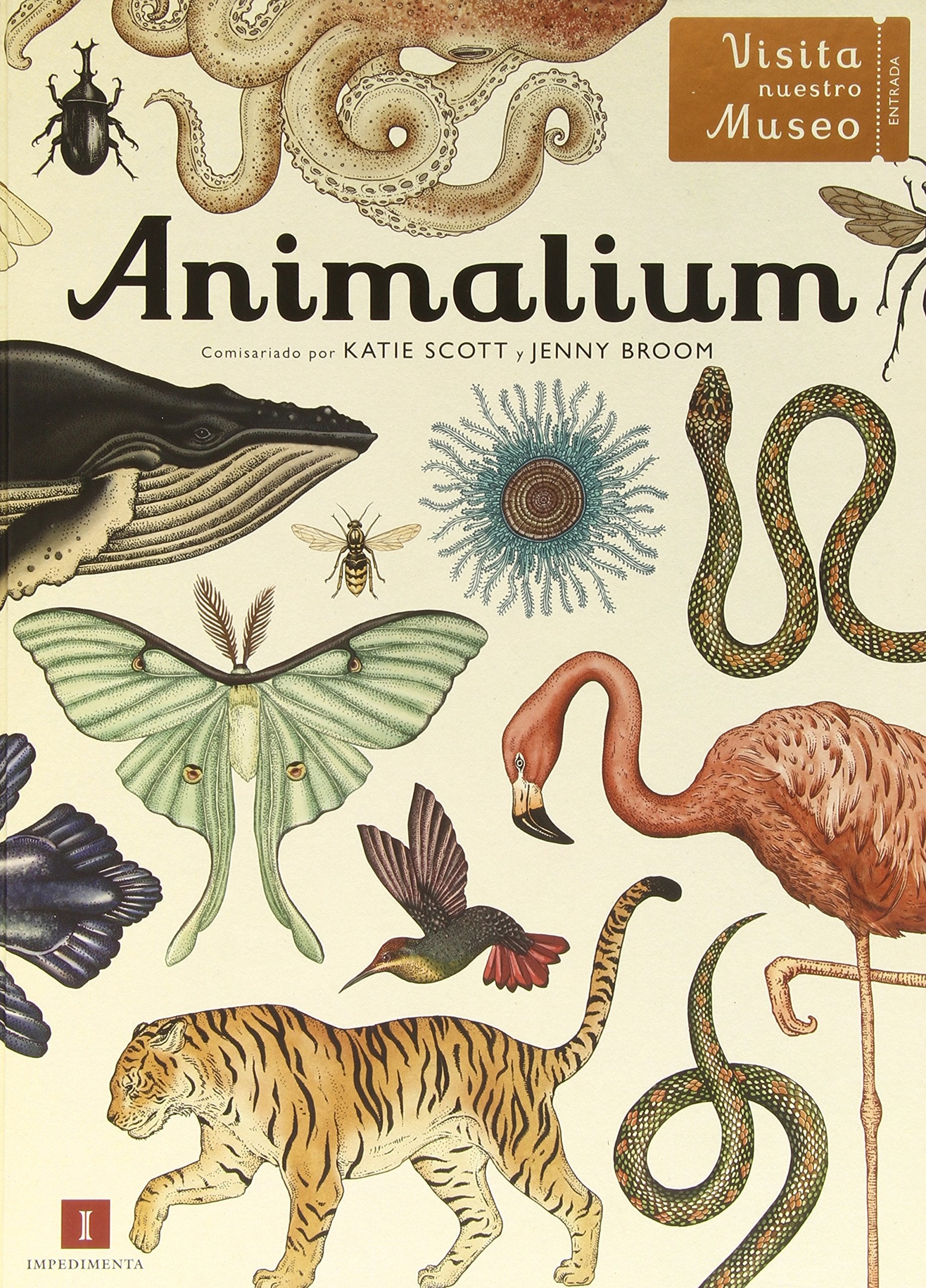 Animalium (El chico amarillo, Band 9) Social Sciences