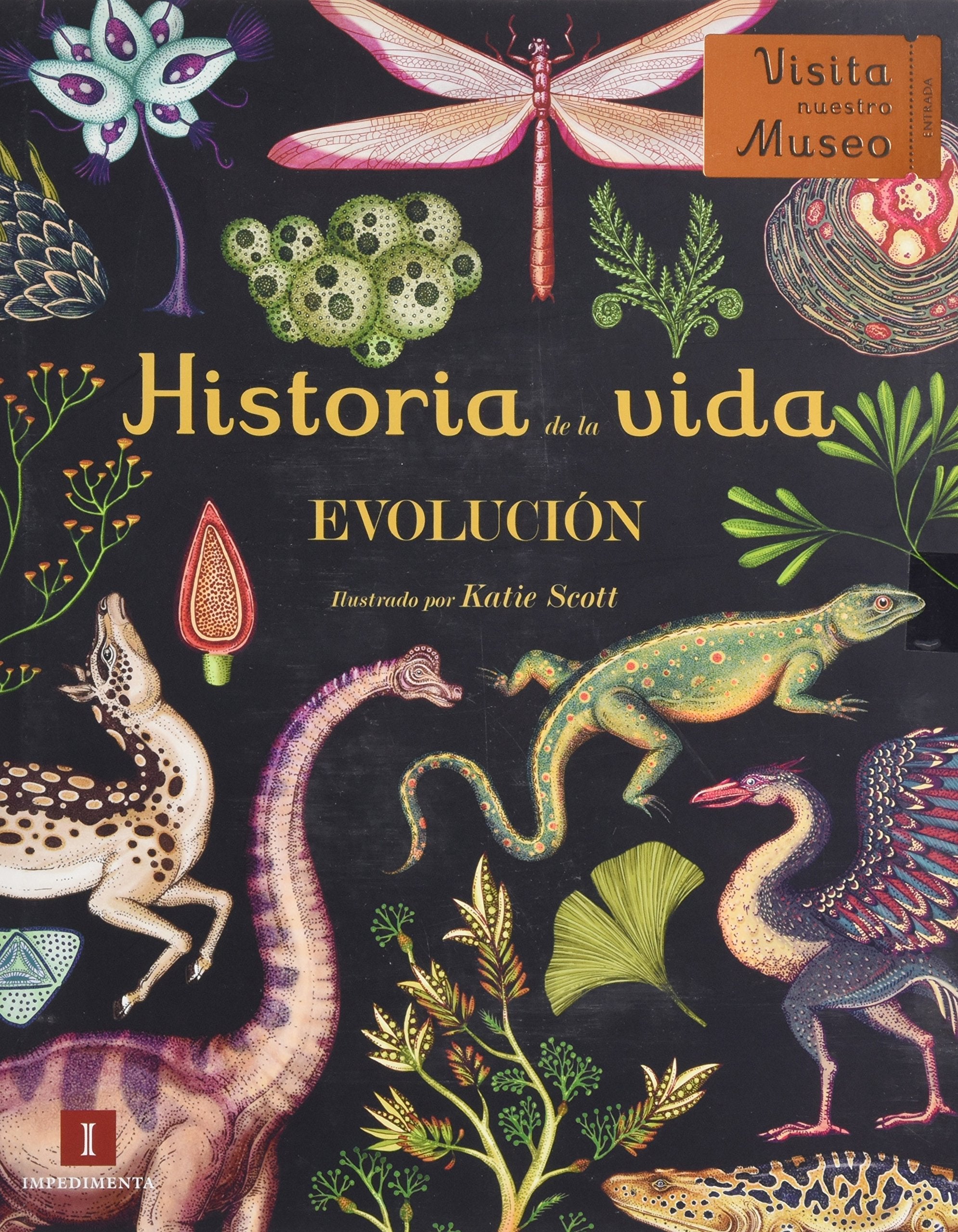 Historia de la vida : evolución (El chico amarillo, Band 12) Social Sciences