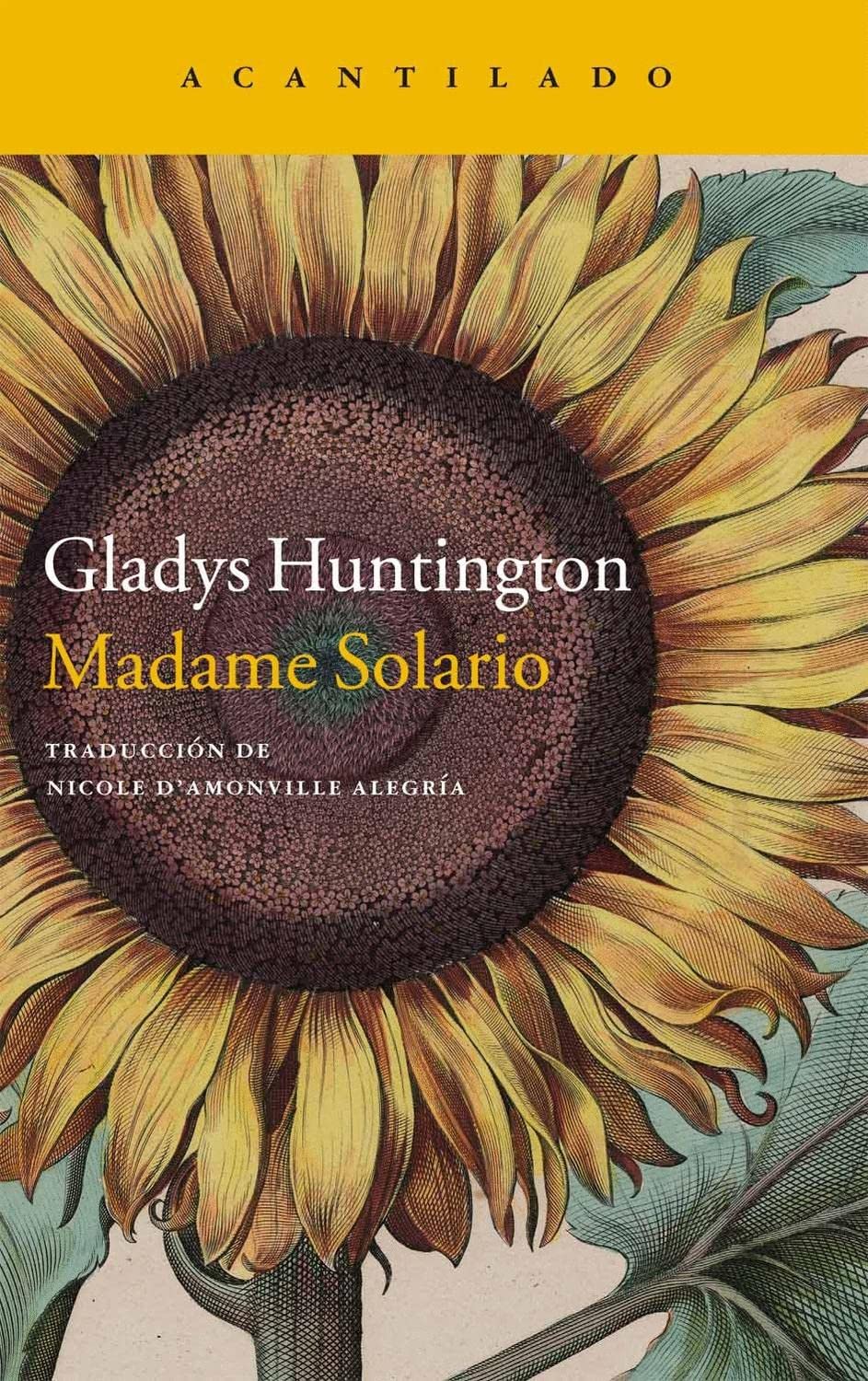 Product Image: Madame Solario