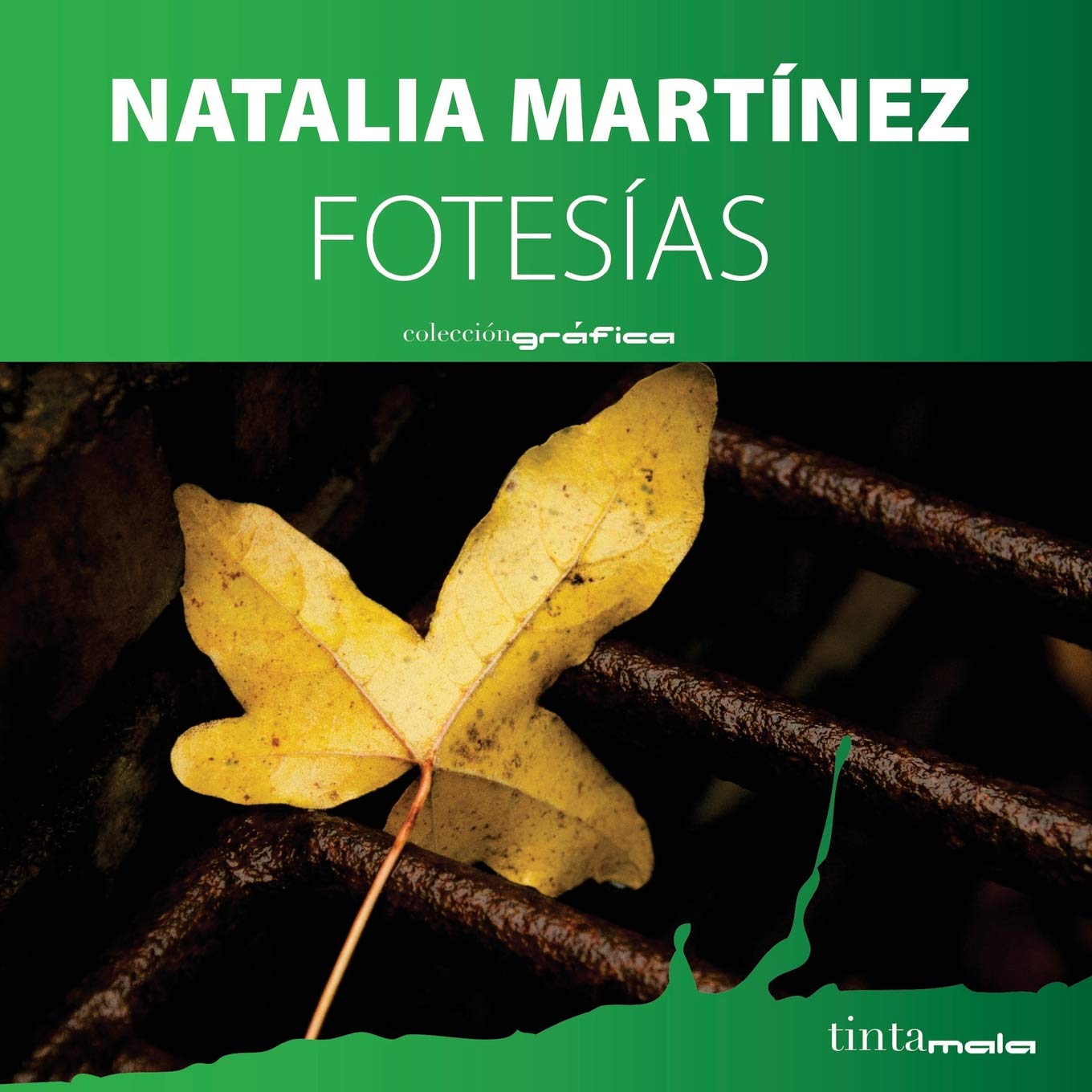 Fotesias Photography