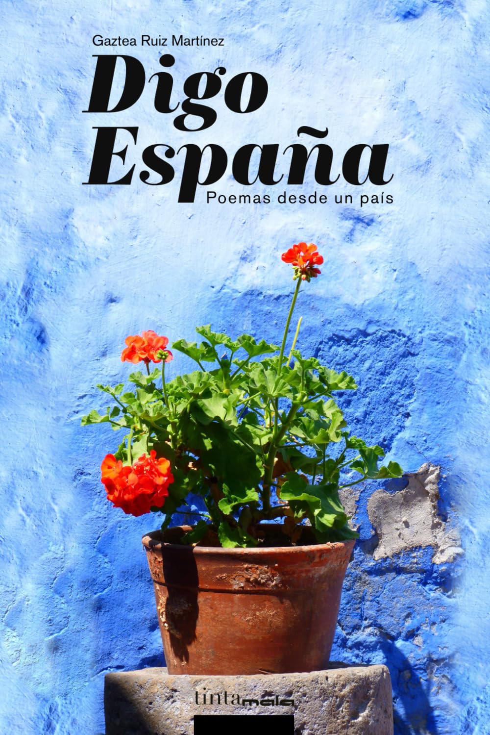 Digo España: Poemas desde un país Poetry