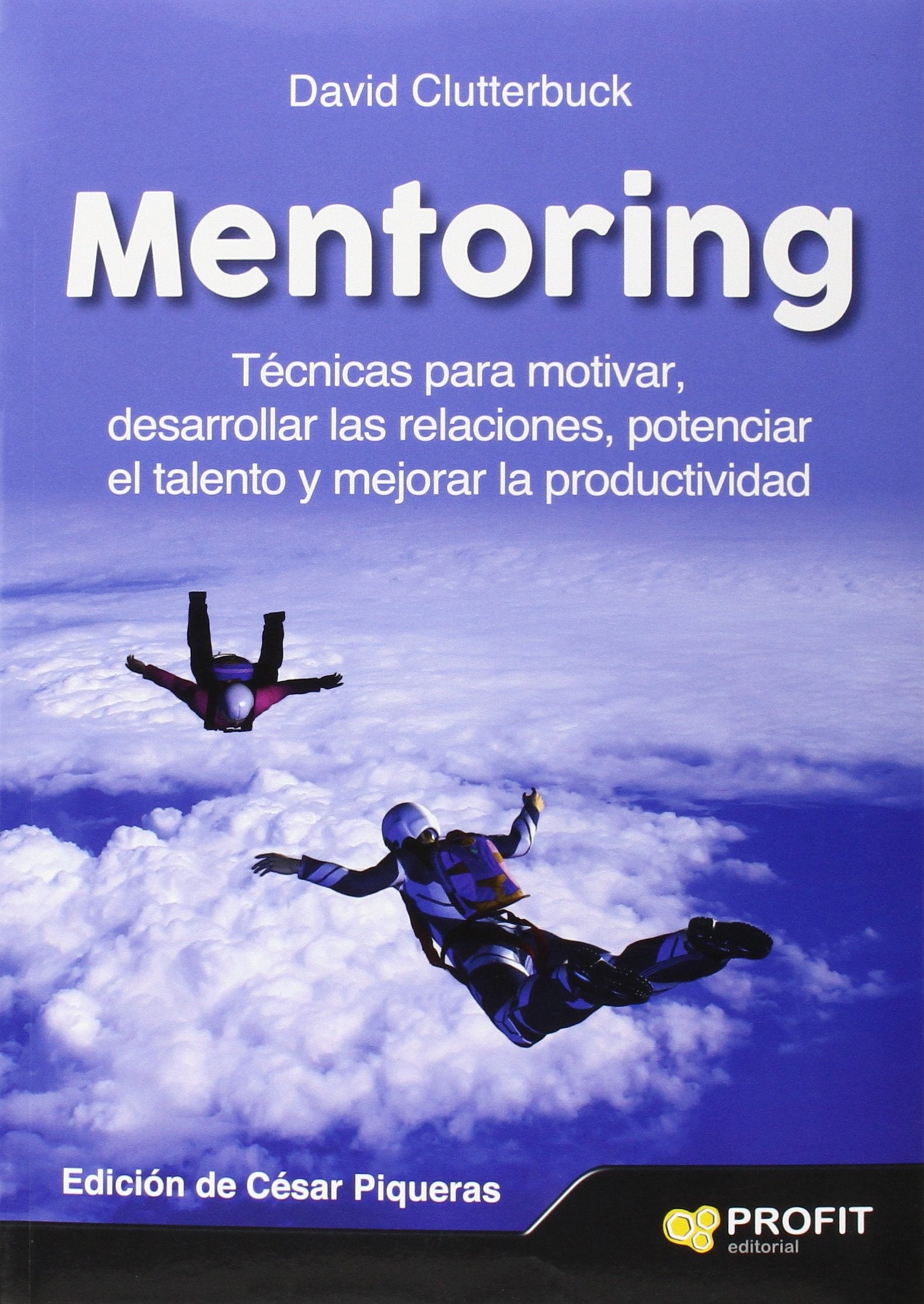 Mentoring: Técnicas para motivar, desarrollar las relaciones, potenciar el talento y mejorar la productividad book