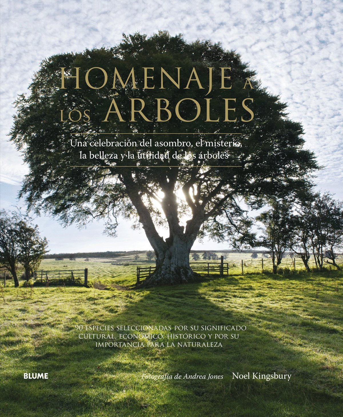Homenaje a los árboles : una celebración del asombro, el misterio, la belleza y la utilidad de los árboles Hobbies & Crafts