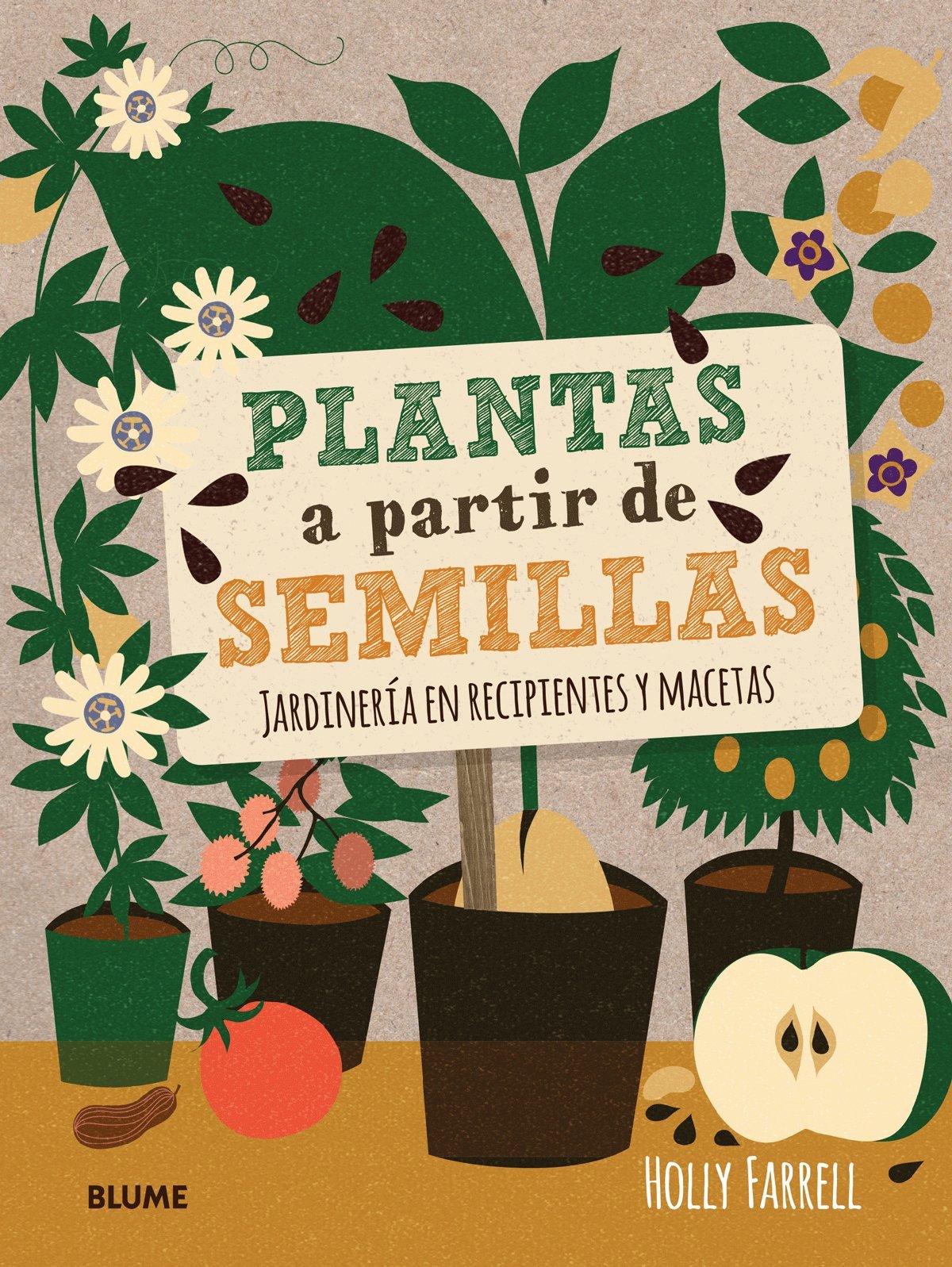 Plantas a partir de semillas : jardinería en recipientes y macetas Hobbies & Crafts