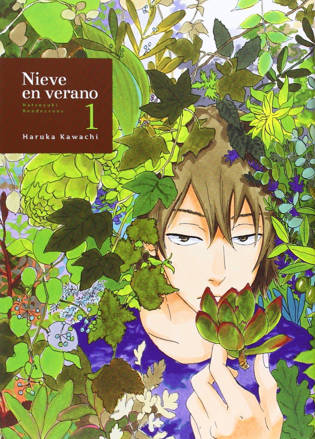 Nieve en verano 1, Natsuyuki rendezvous Manga
