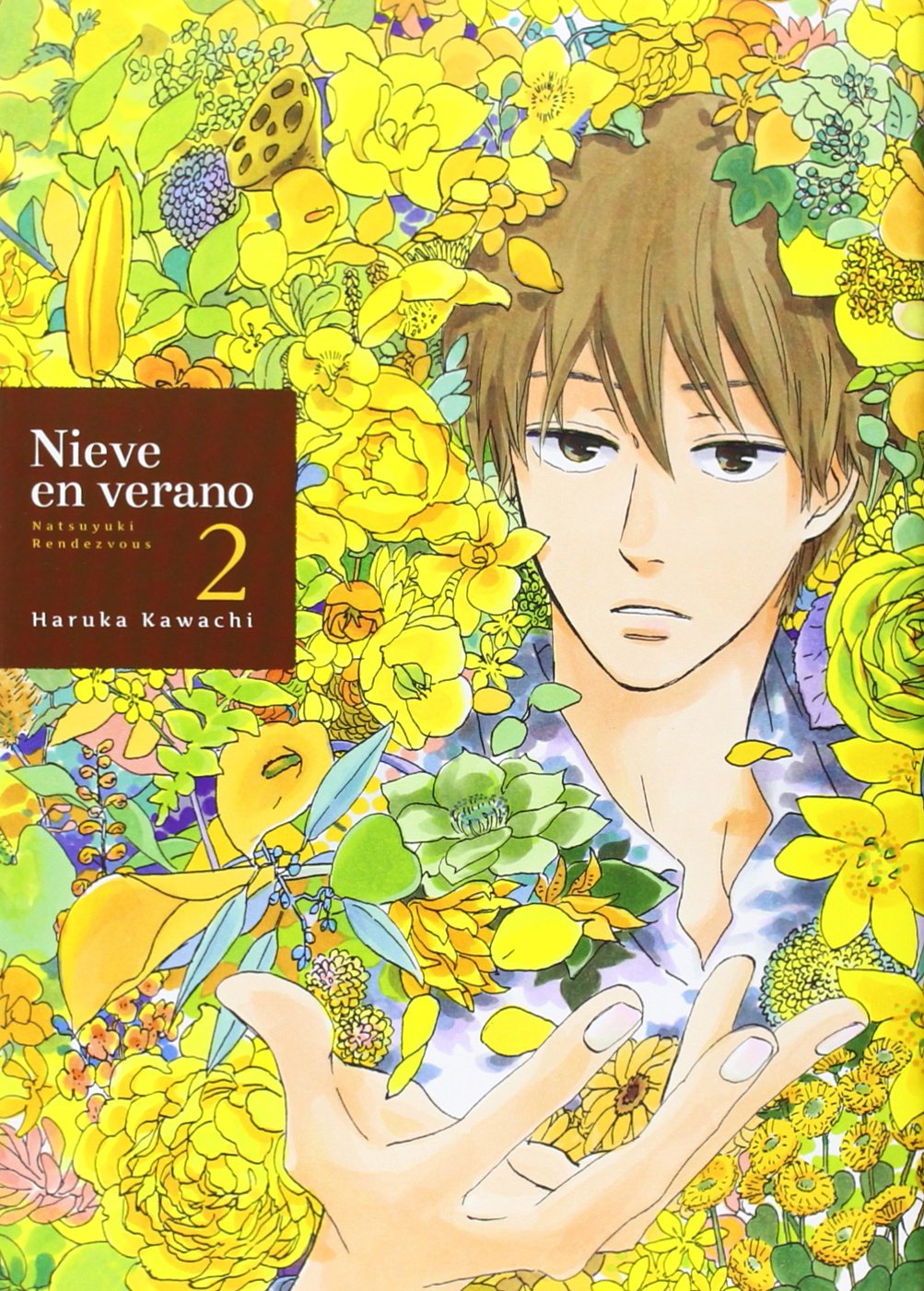 Nieve en verano 2, Natsuyuki rendezvous Books