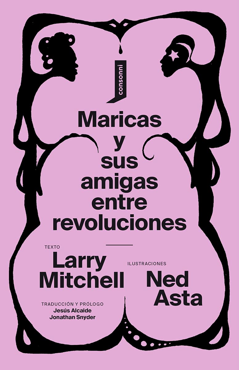 Maricas y sus amigas entre revoluciones book