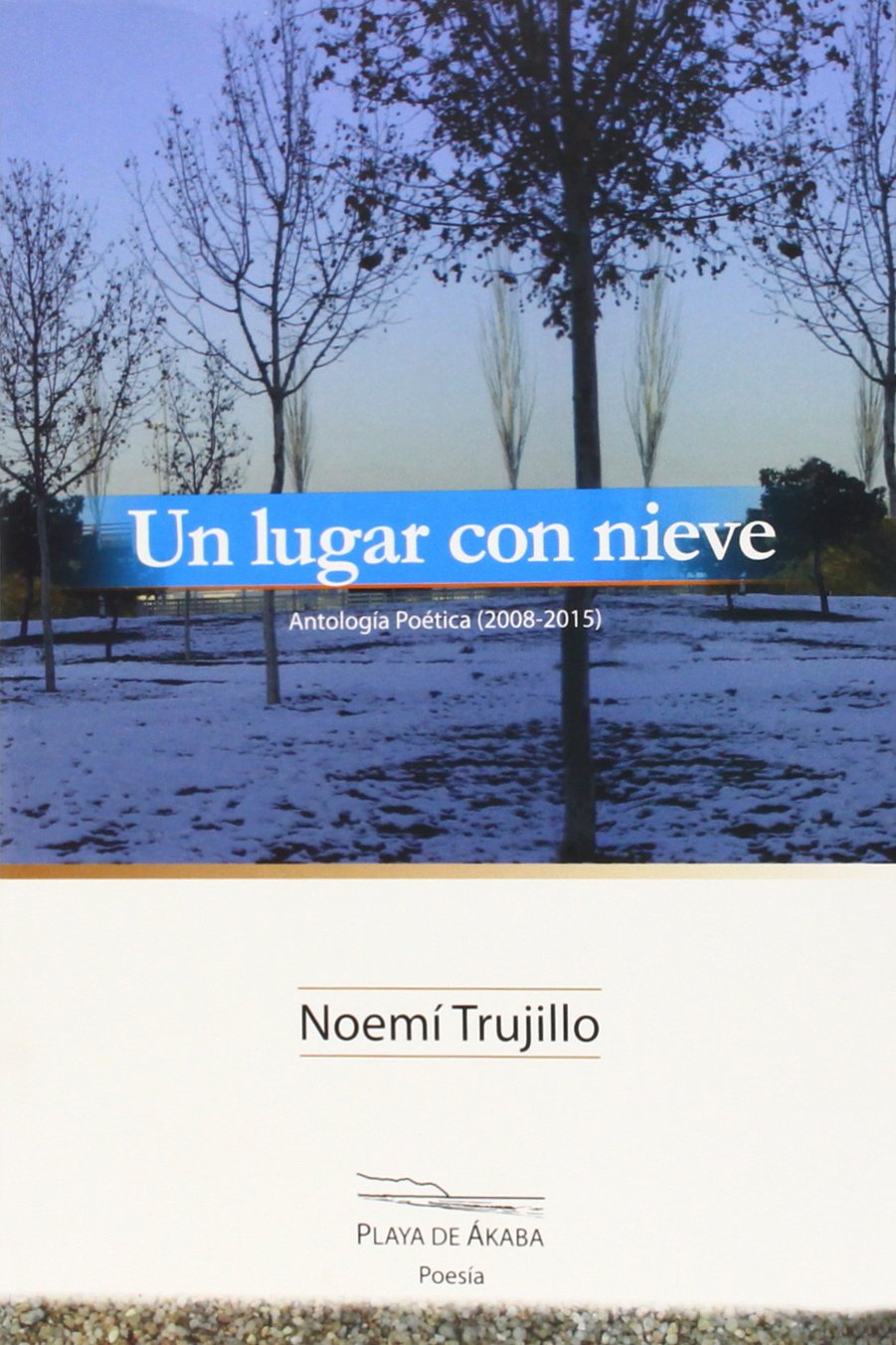 UN LUGAR CON NIEVE: Antología (2008-2015) book