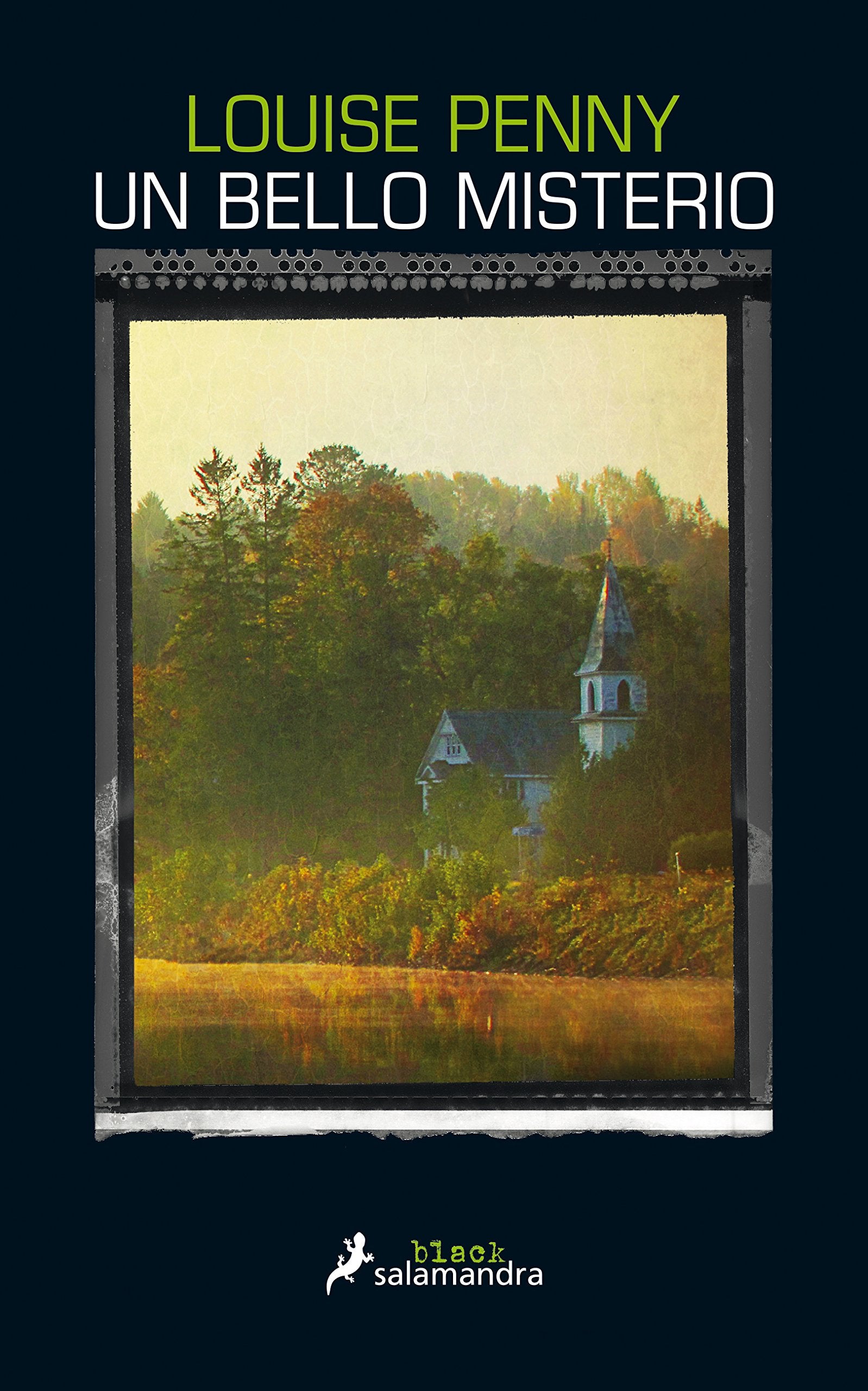 Un bello misterio / The Beautiful Mystery book